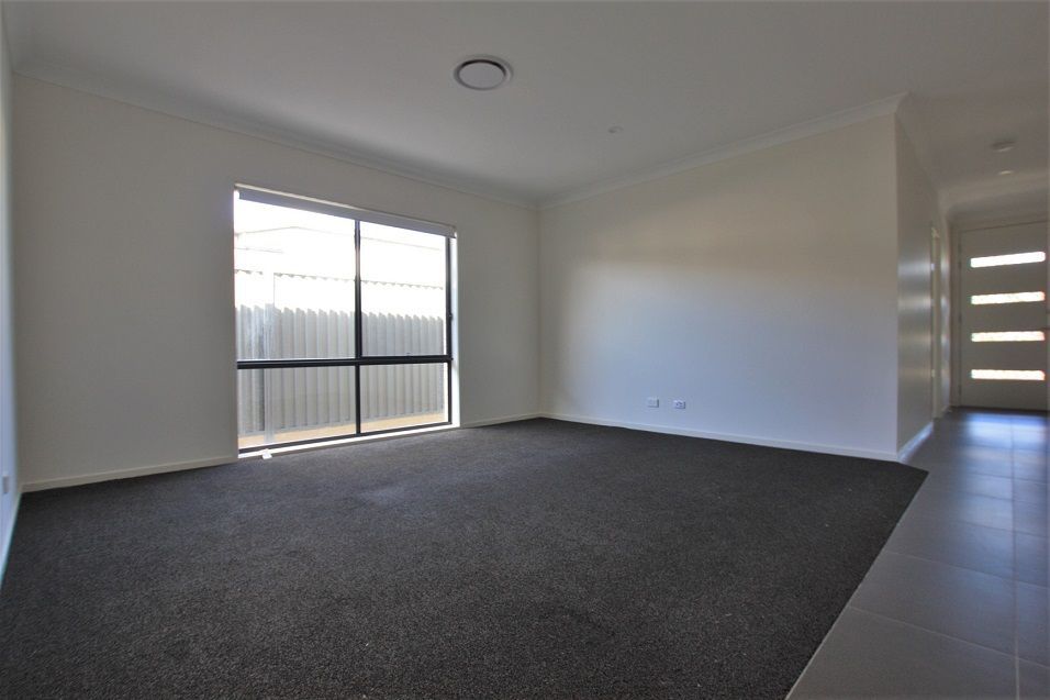11 Blacksmith Crescent, Cobbitty, NSW 2570