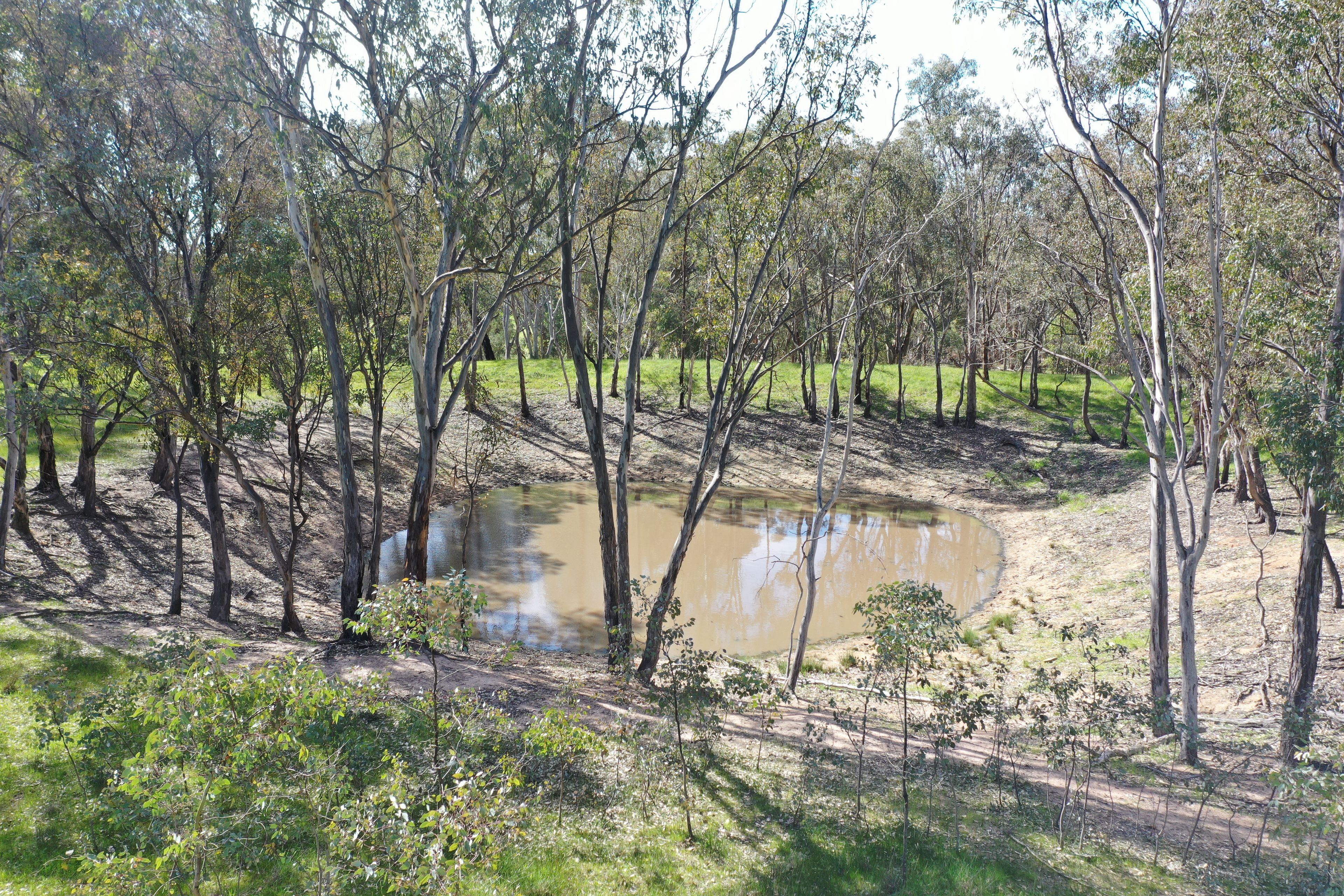 Lot 1992 Wickham/James Lane — photo 4 of 5