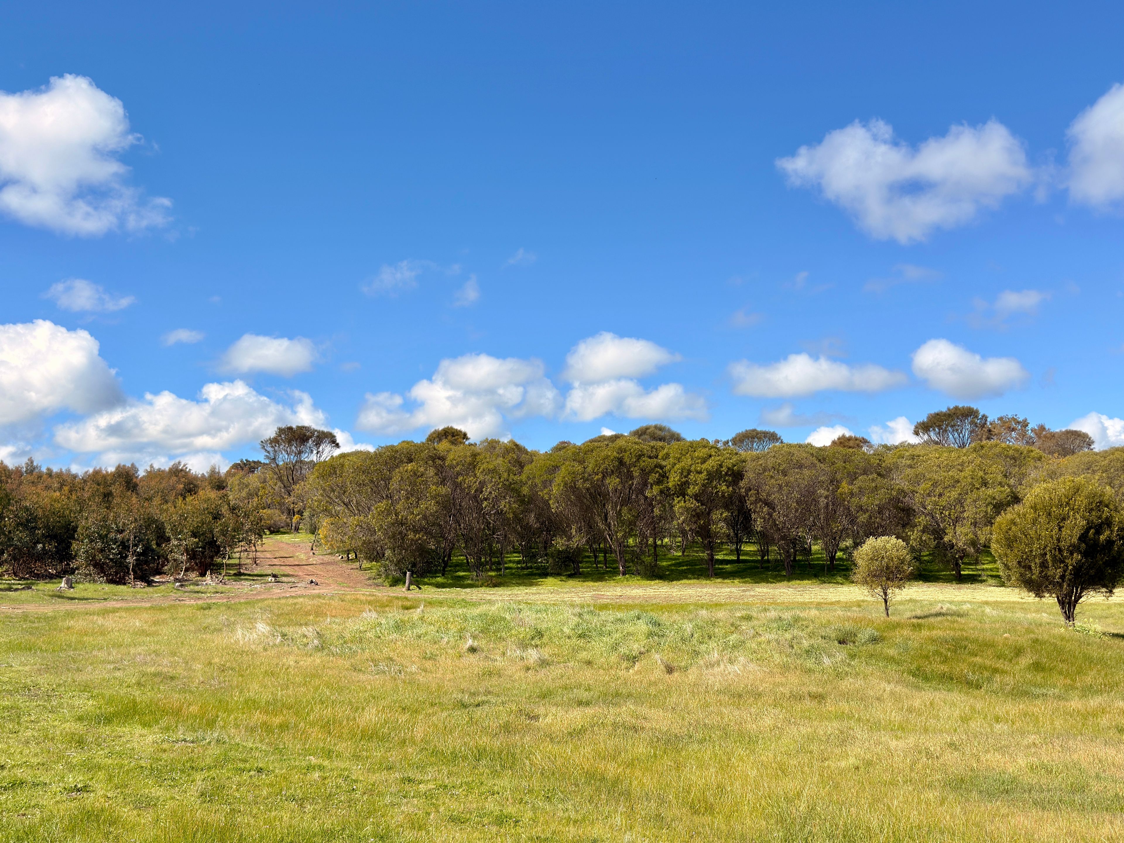 Lot 100 Area Road — photo 12 of 17