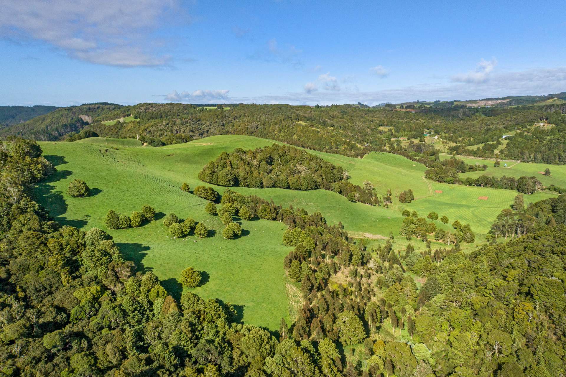 0 Russell Road Airstrip Block photo 34