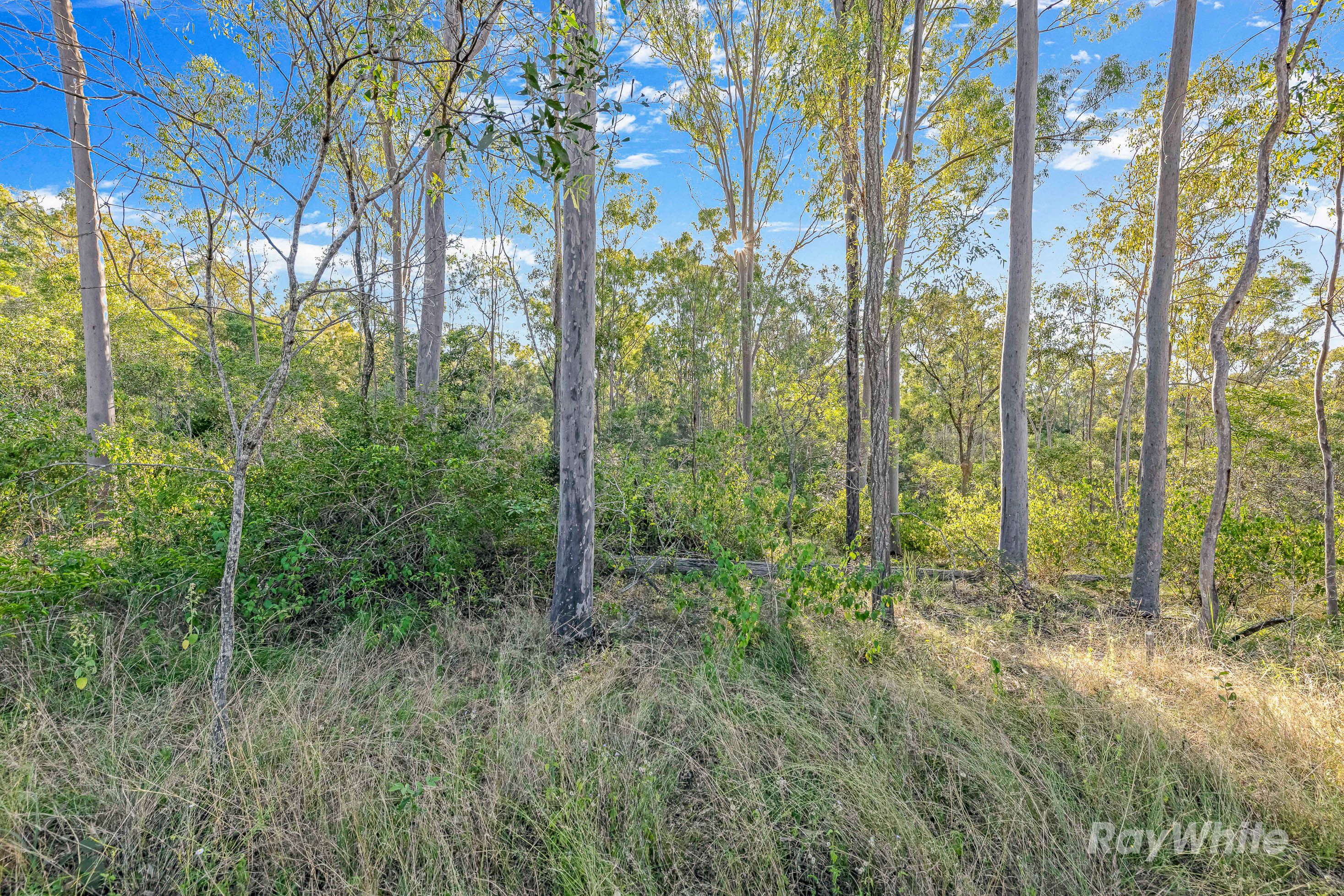 Lot 121 4528 Bundaberg Gin Gin Road, Gin Gin, QLD 4671 Land for Sale