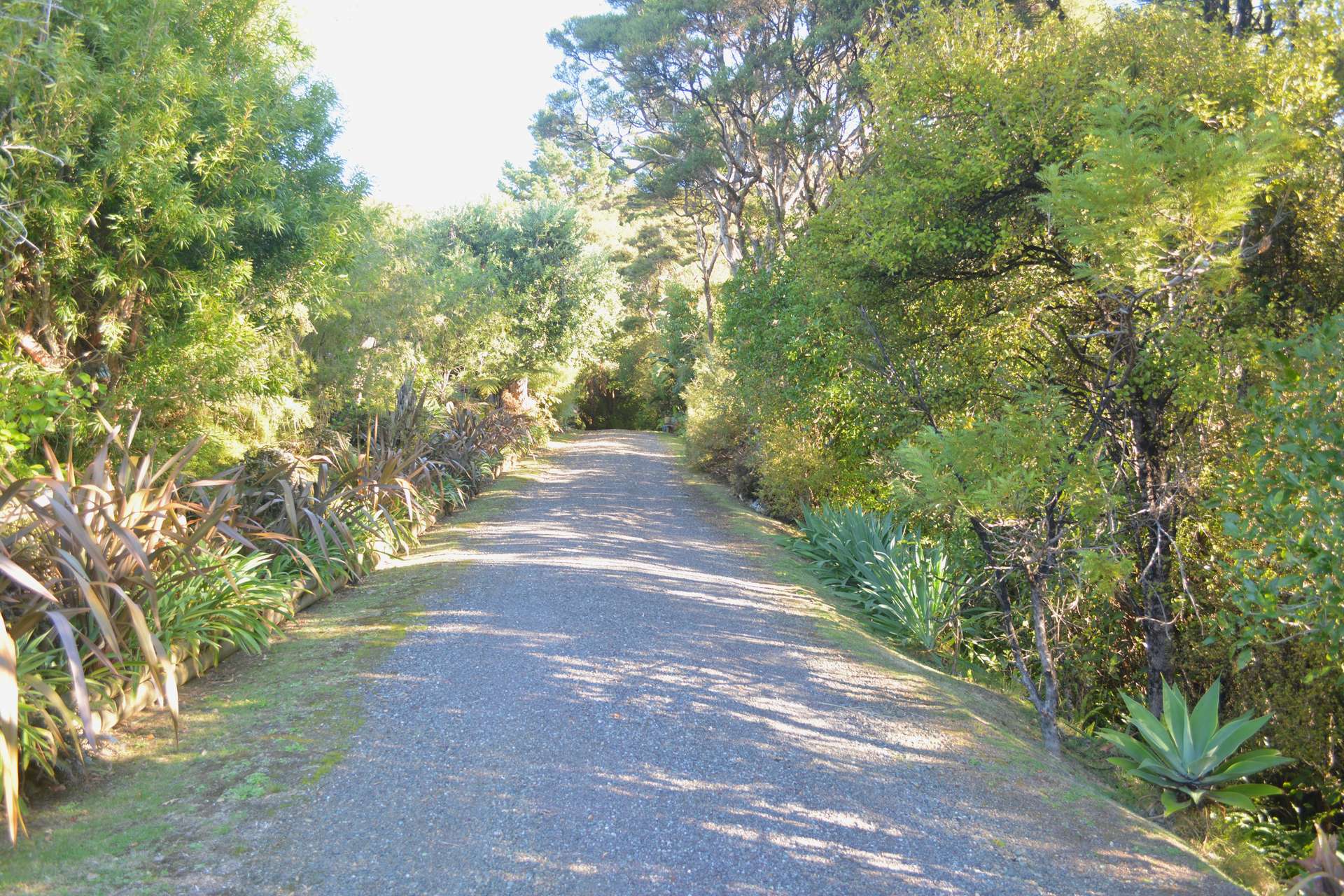 Parekura Bay  Far North District  0184 photo 33