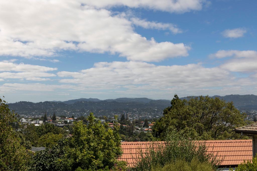 38 La Veta Avenue, Mount Albert, Auckland City