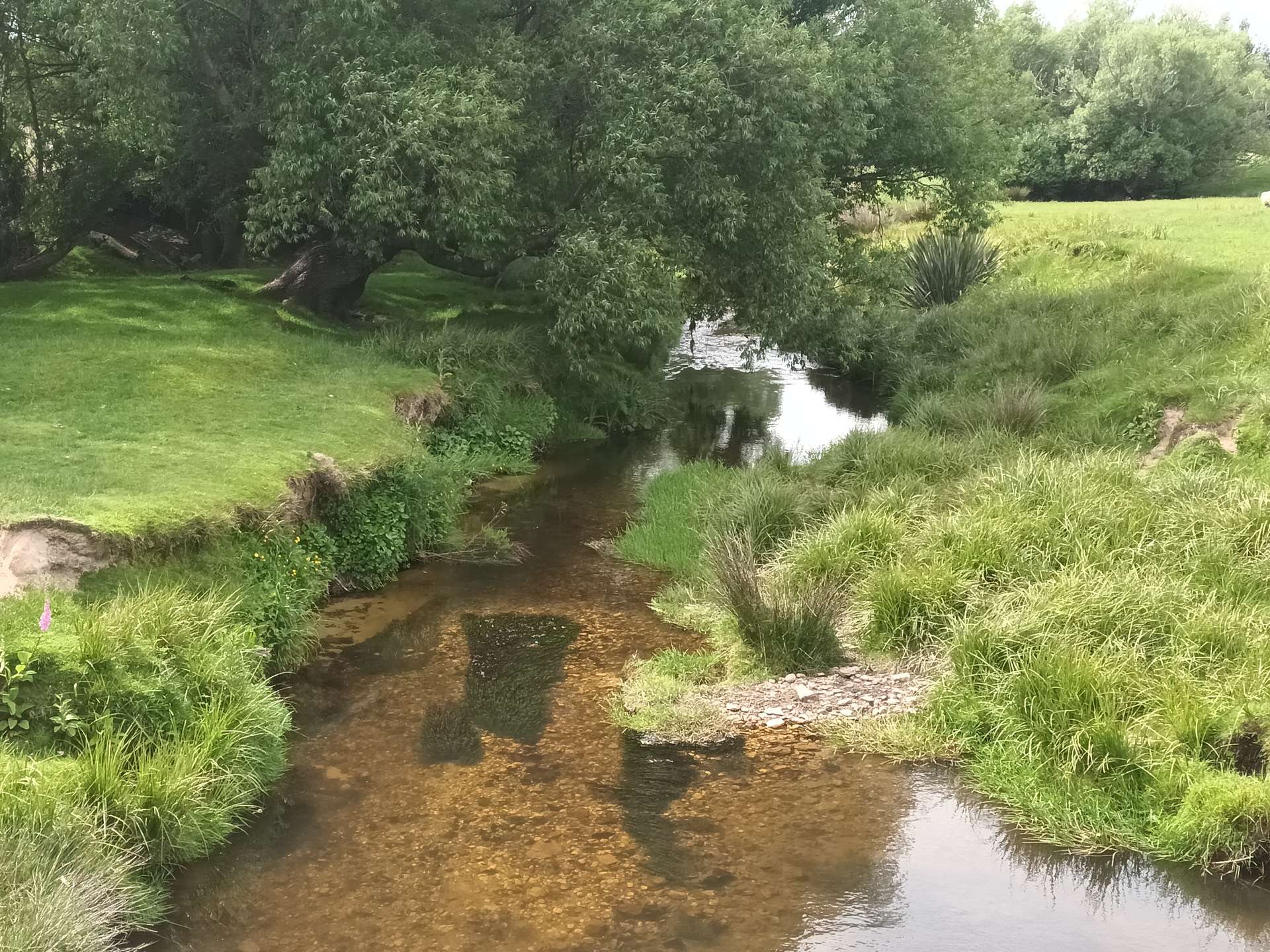 202 Koi Flat Road photo 7