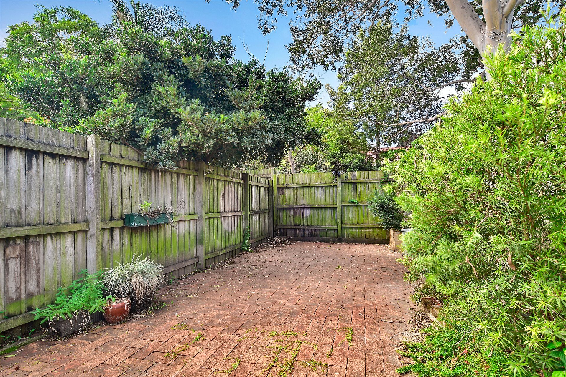 53 Mary Street, St Peters, NSW 2044