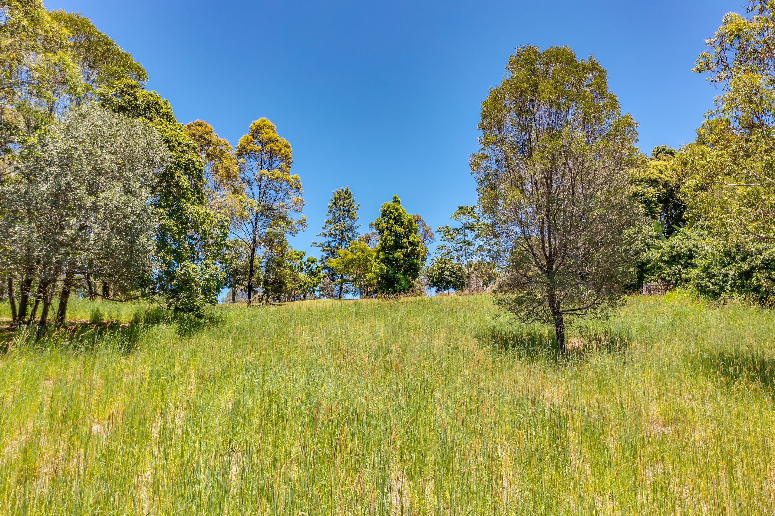 70 Henri Robert Drive, Clagiraba, QLD 4211