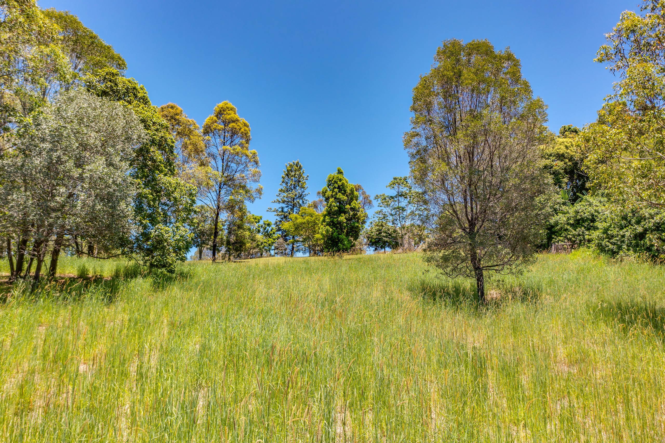 70 Henri Robert Drive, Clagiraba, QLD 4211