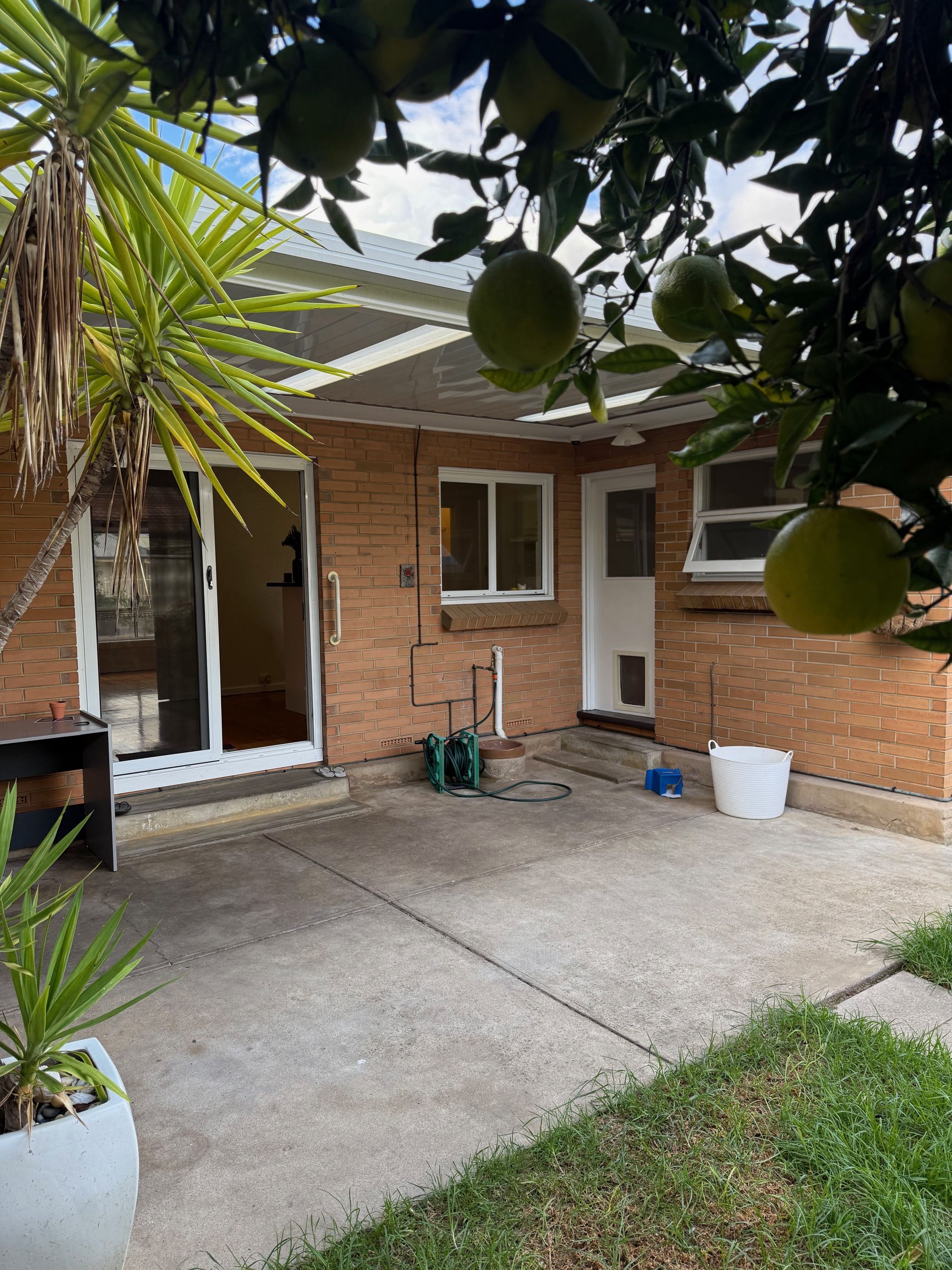 12 Ayr Street, Semaphore Park, SA 5019