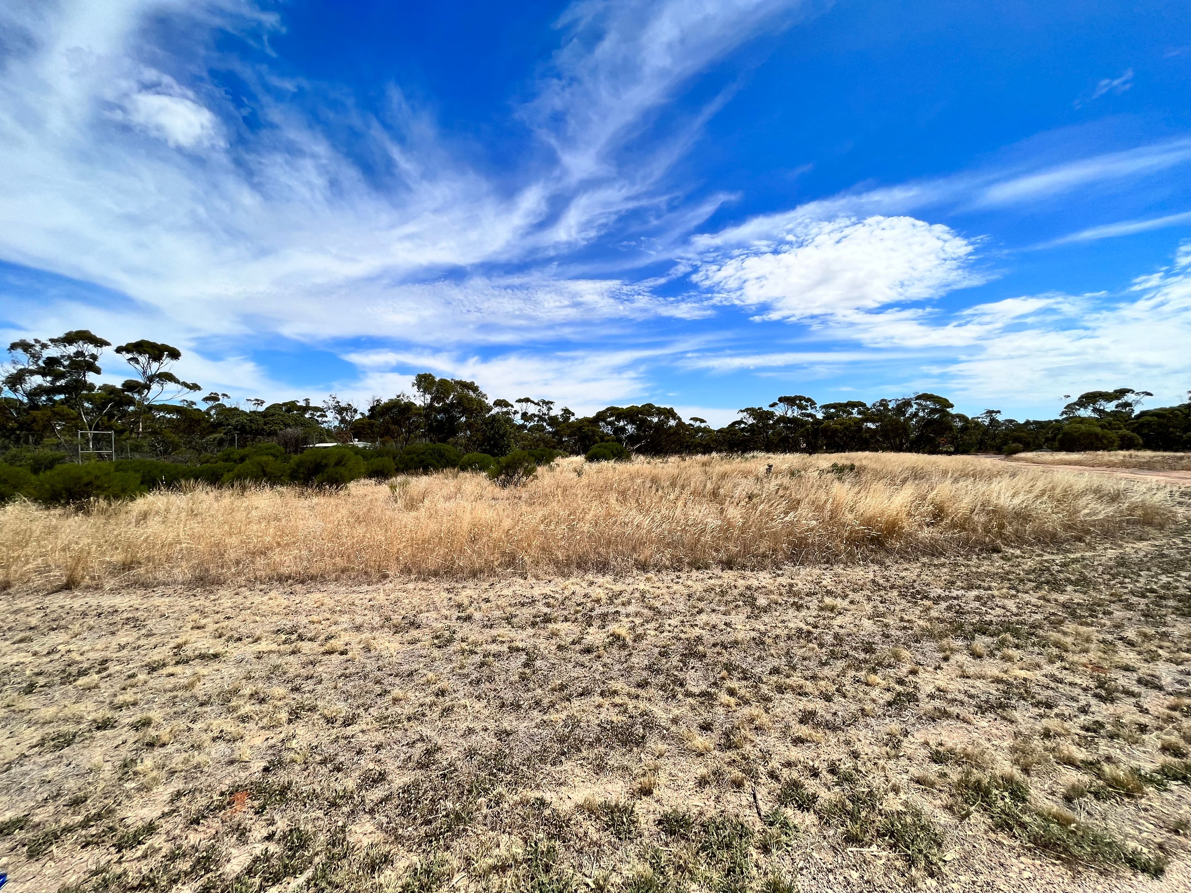 2123 Sunraysia Highway, TURRIFF, VIC 3488