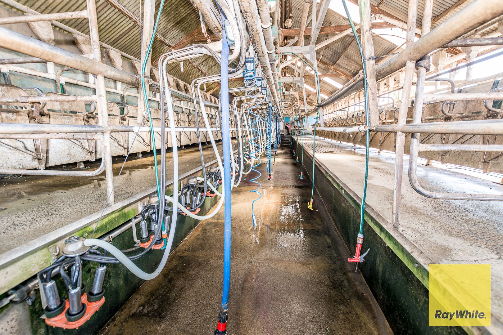 Outstanding Dairy Opportunity — photo 15 of 30