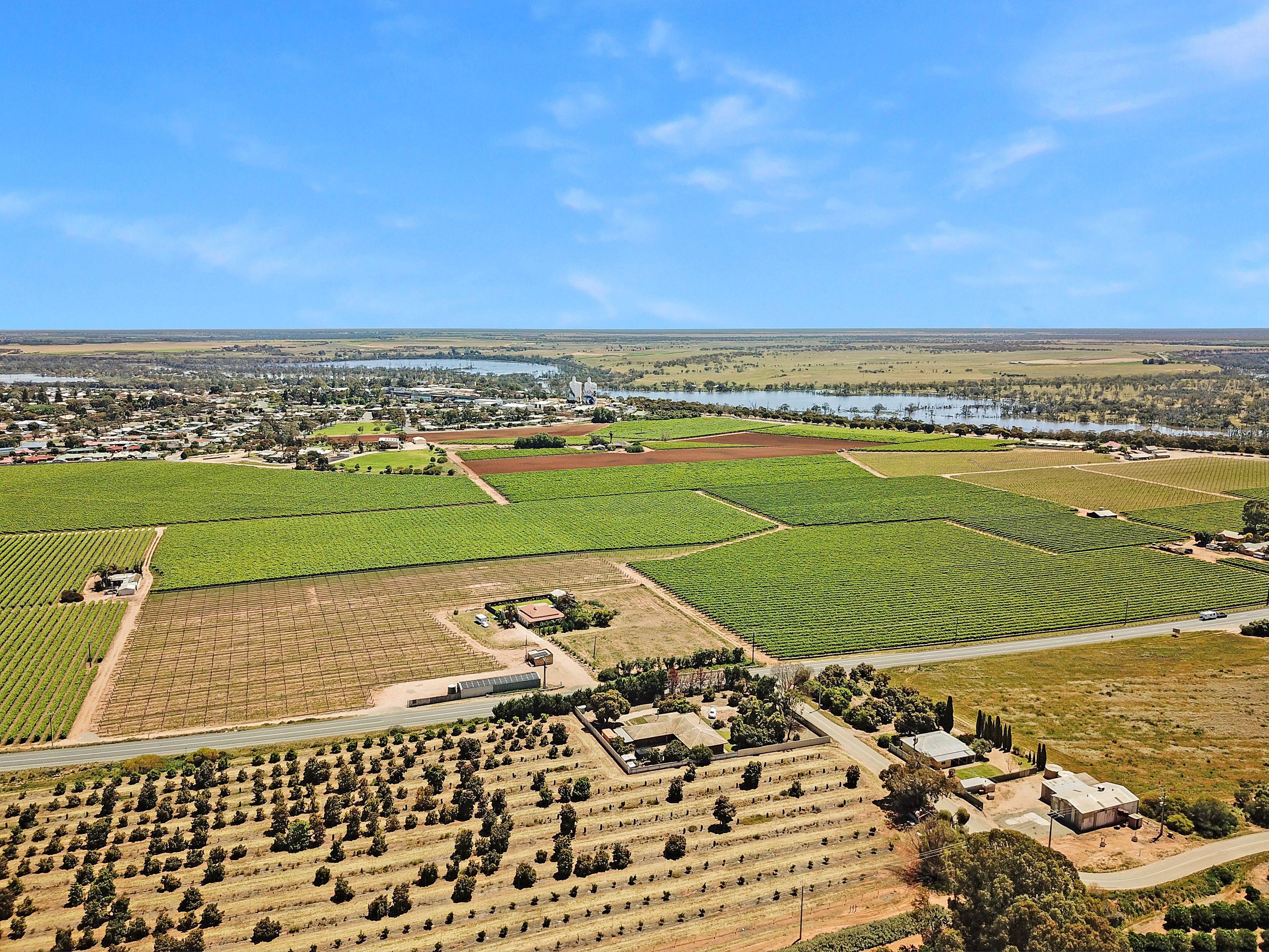 4 Benlow Road, Waikerie, SA 5330 Sold House Ray White Riverland