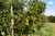 5126 State Highway one photo 14