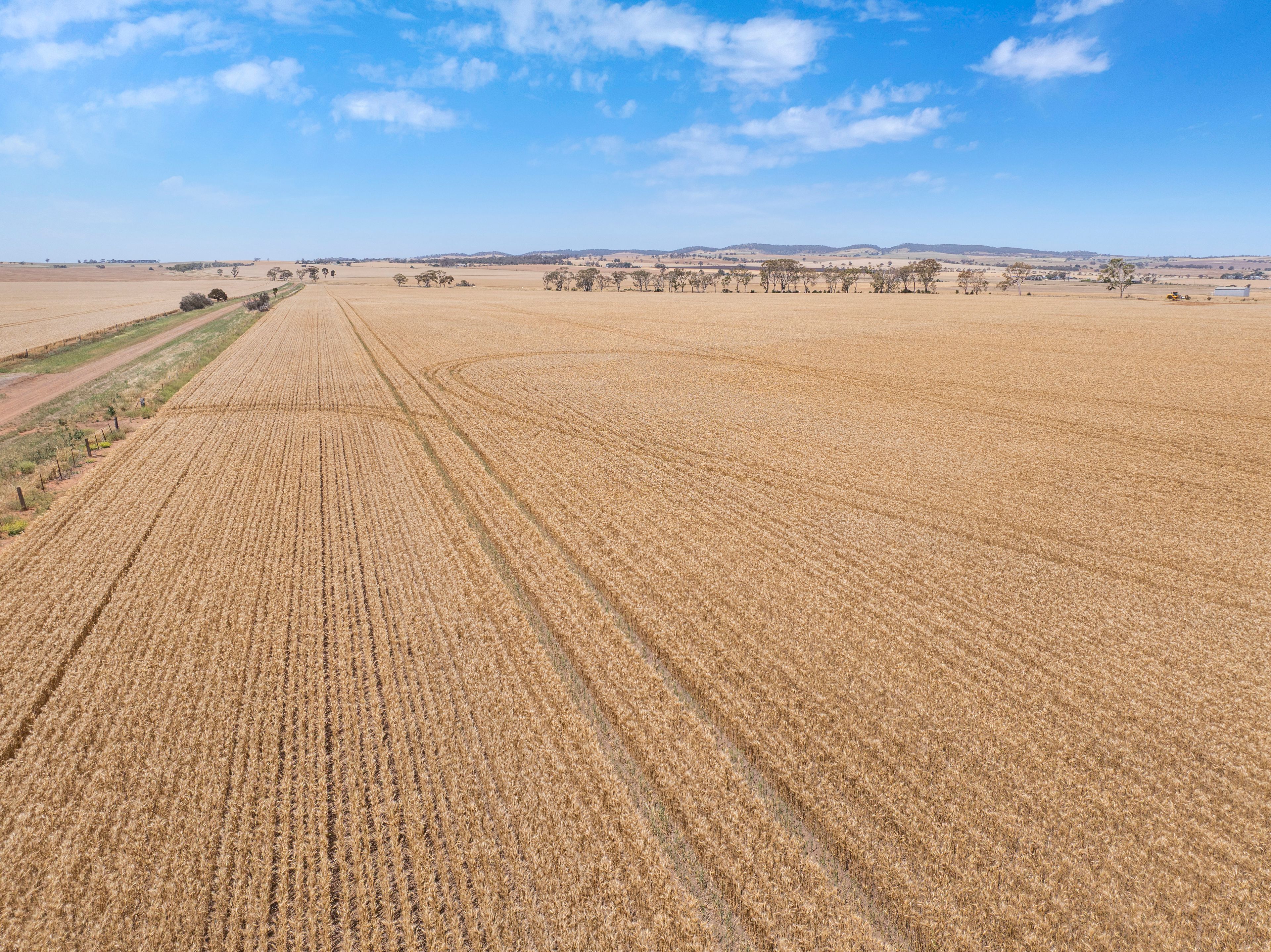 'Ryans' Severins Road, Freeling, SA 5372