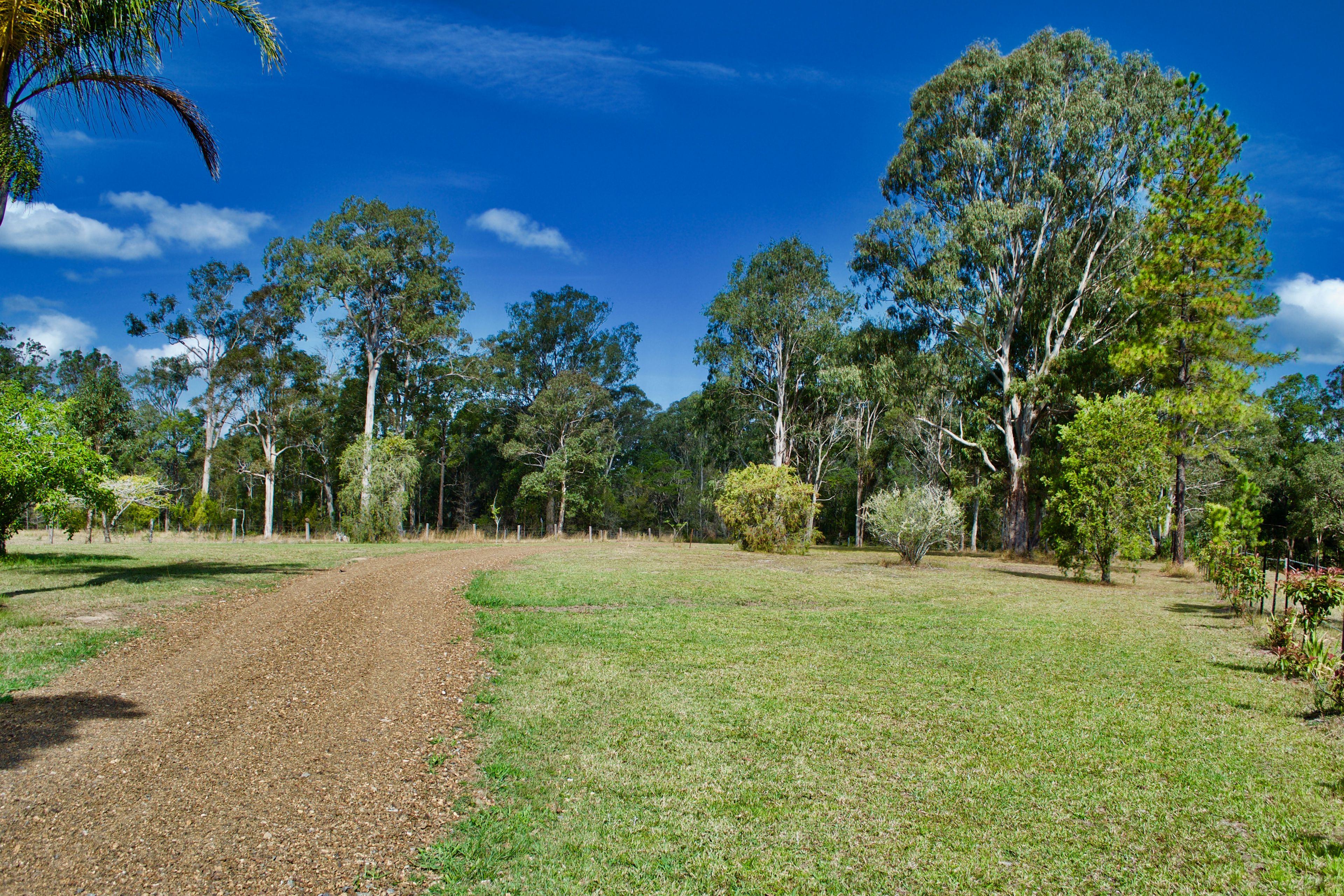1295 Lansdowne Road, Lansdowne, NSW 2430