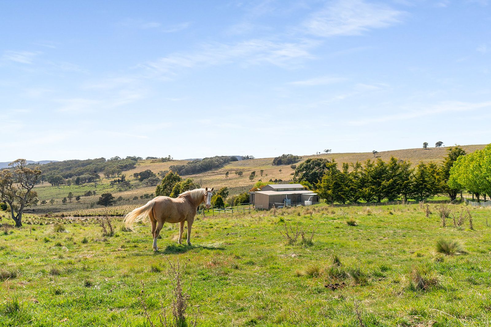 123 Fisher Road, Goulburn, NSW 2580 - Sold Rural Lifestyle Property ...