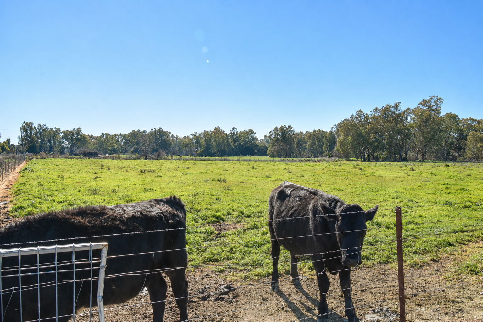 83 Renshaw Mcgirr Way — photo 14 of 18
