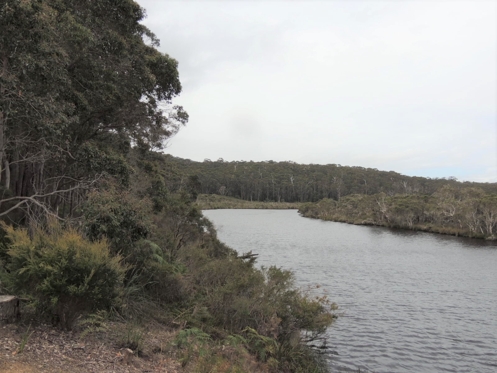 10 Kaba Grove, Nornalup, WA 6333