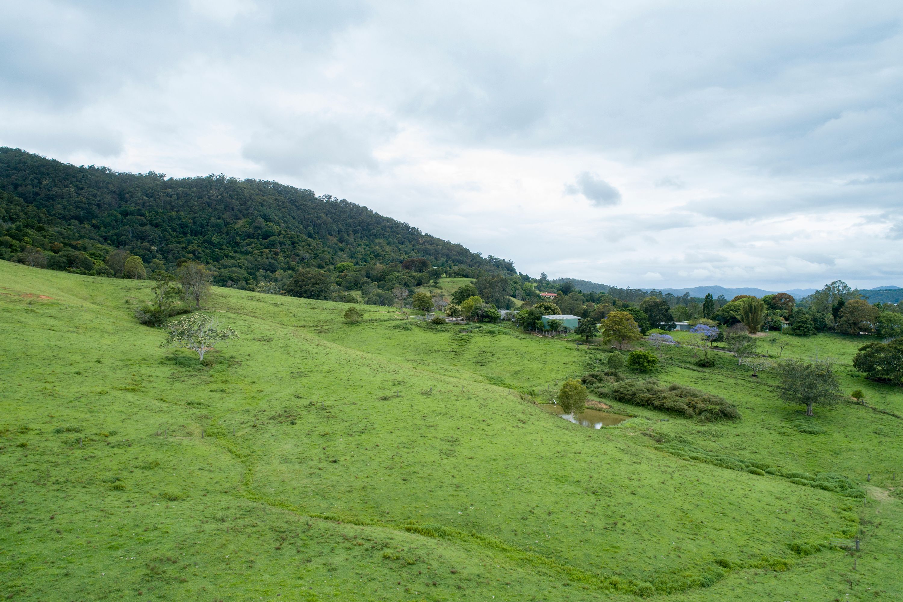Lot 3 on SP196368 Currey Road, Wongawallan, QLD 4210 Sold Rural