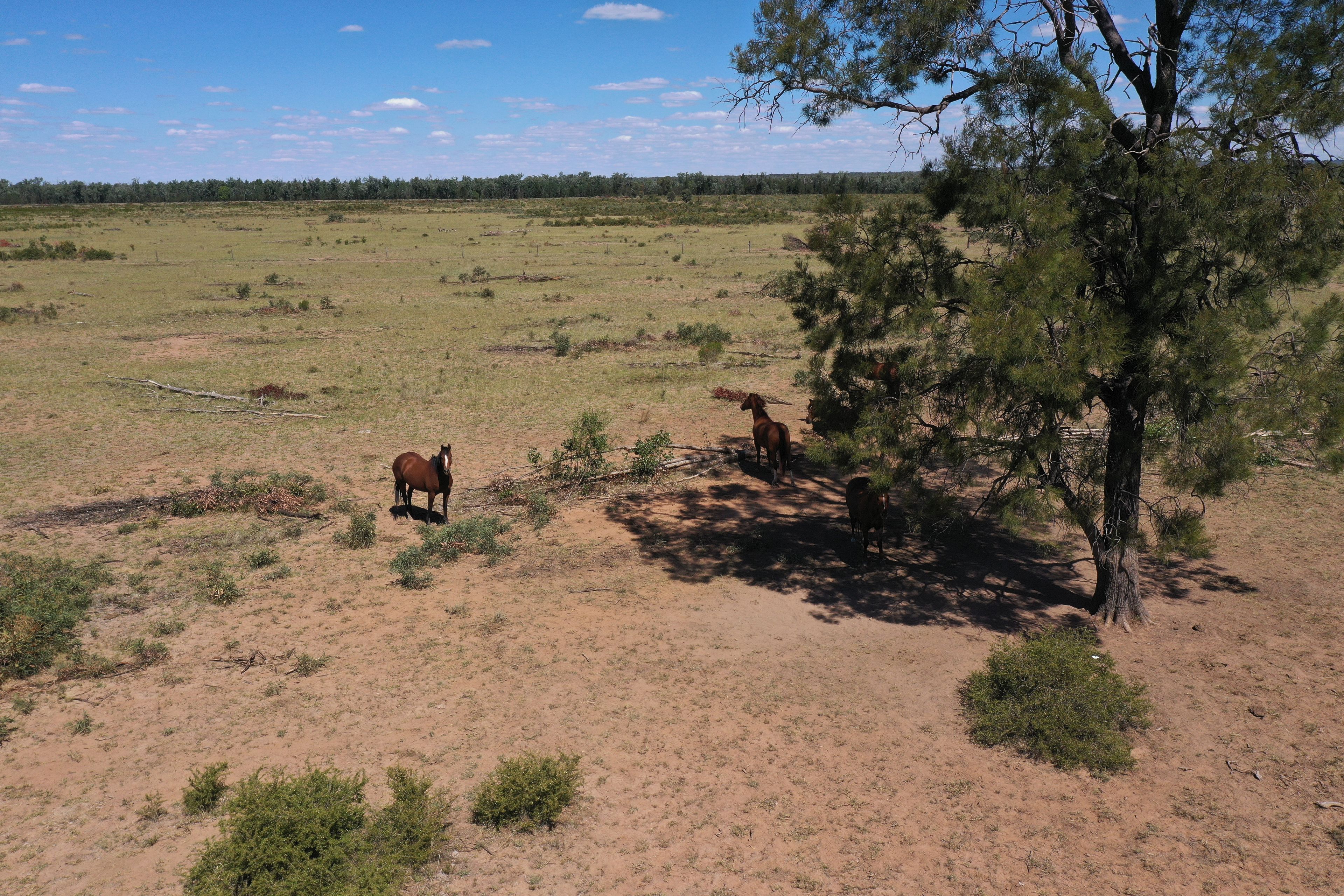 555 Yuleba Surat Road, Yuleba, QLD 4427