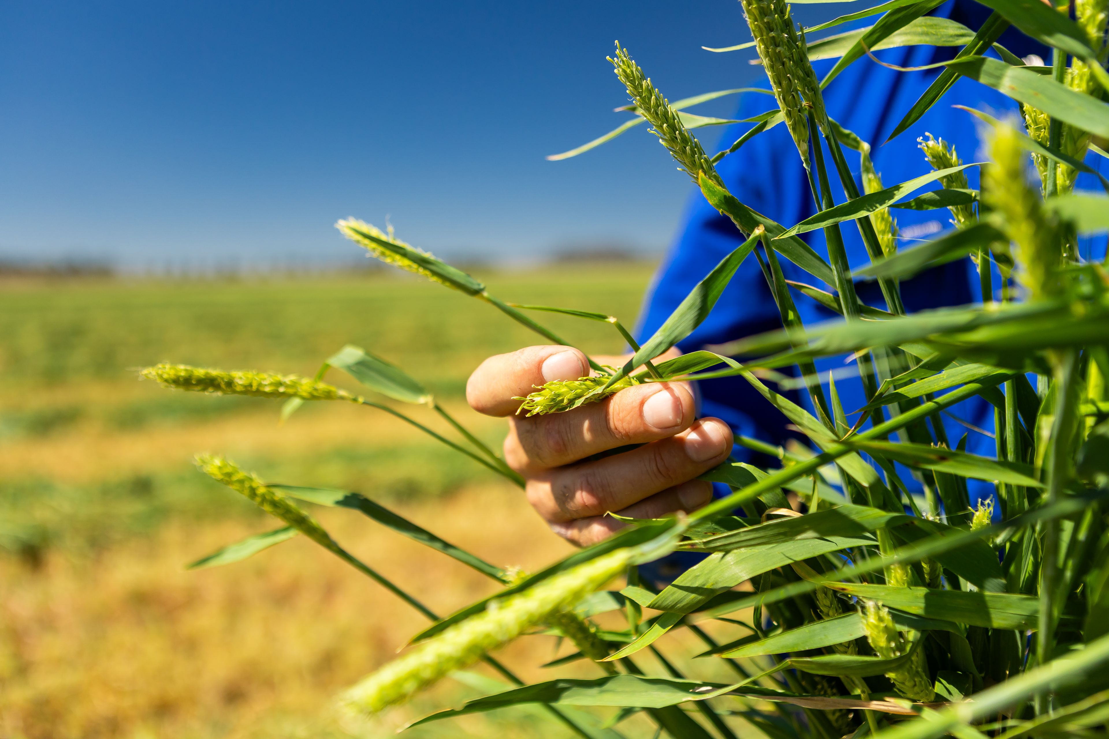 Lot 89 Warrego Highway, Kingsthorpe, QLD 4400