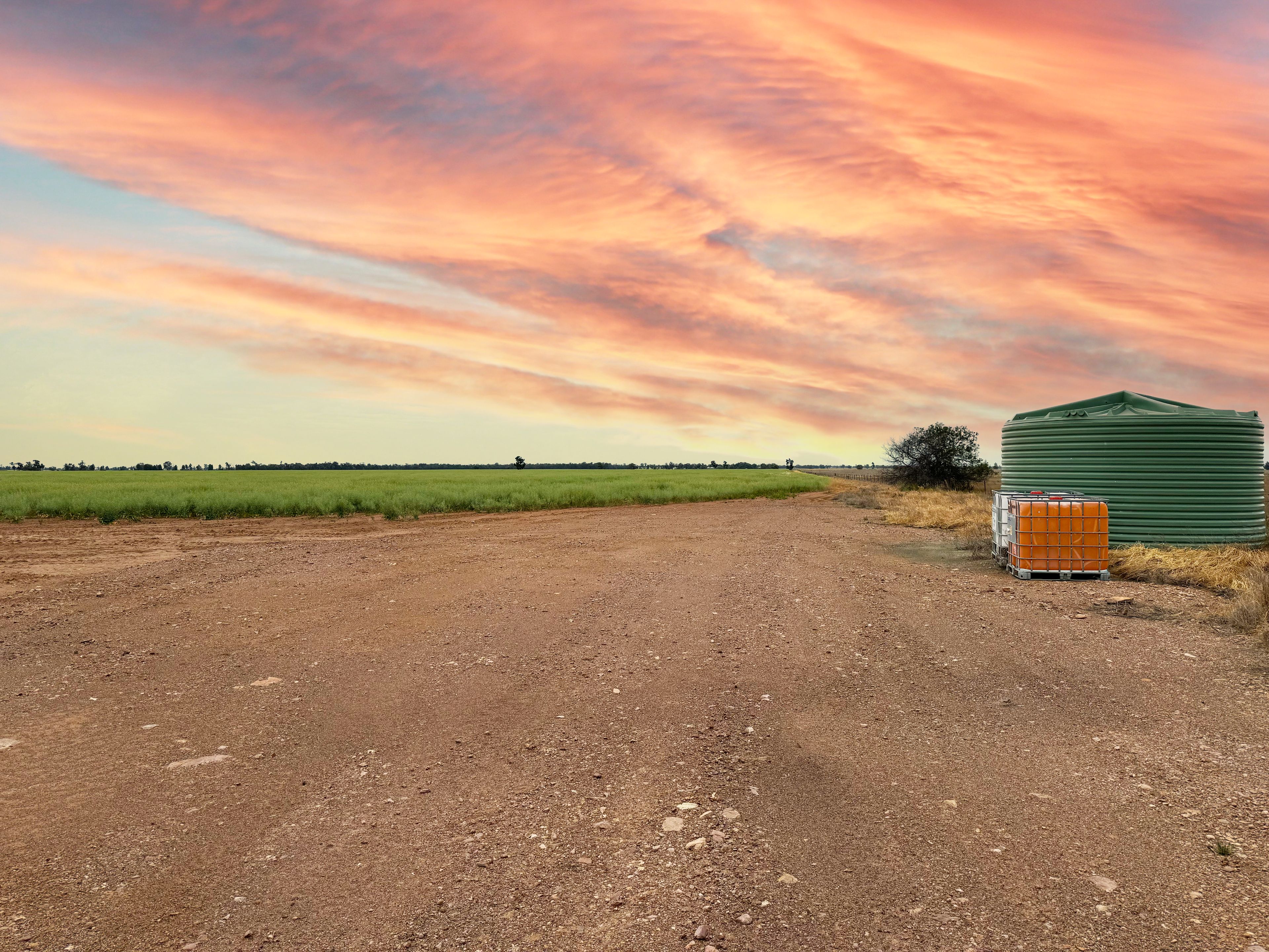 'Gressenhall' 219 Howes Lane, West Wyalong, NSW 2671 Rural Cropping