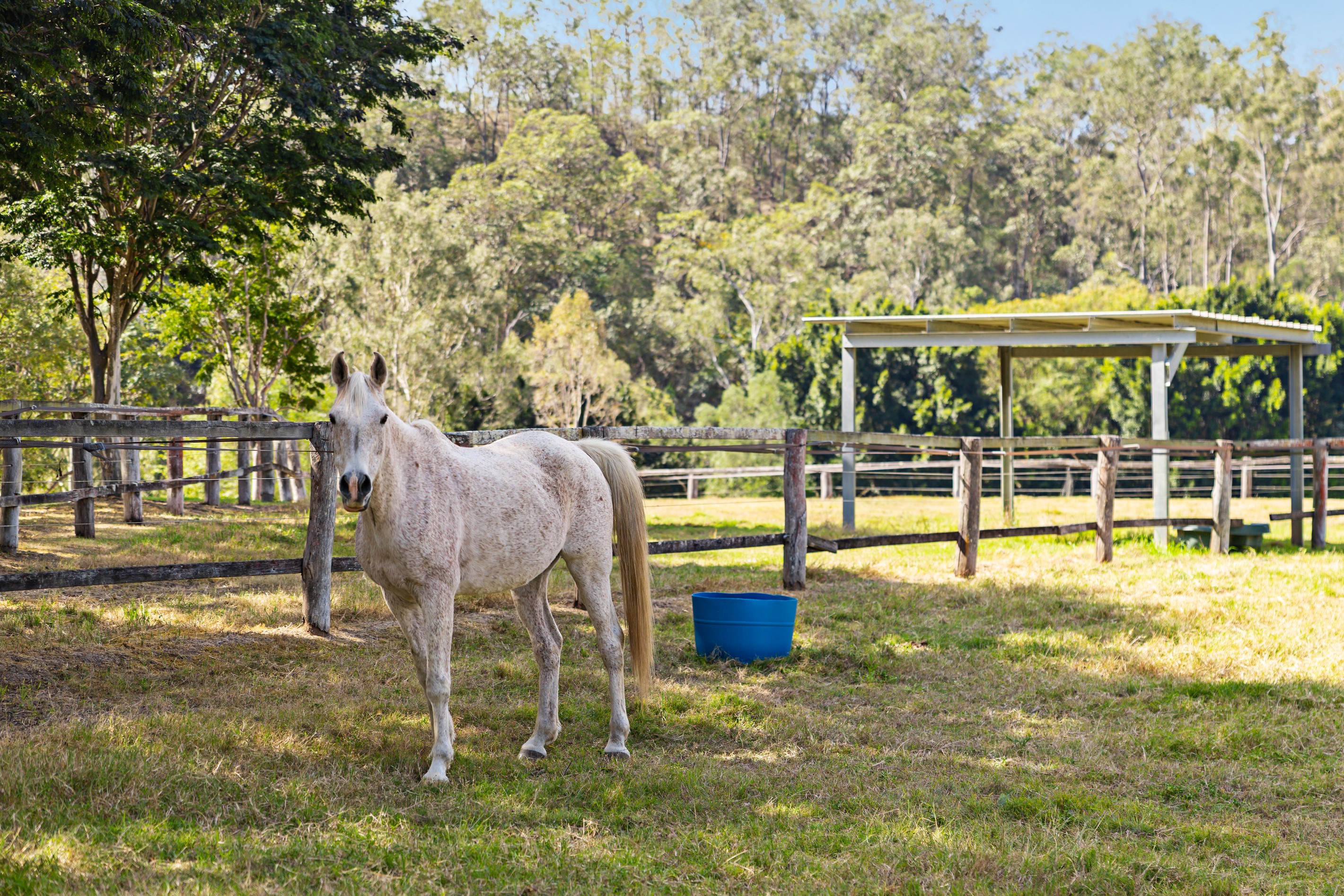 100 Waverley Road, Lake Manchester, QLD 4306
