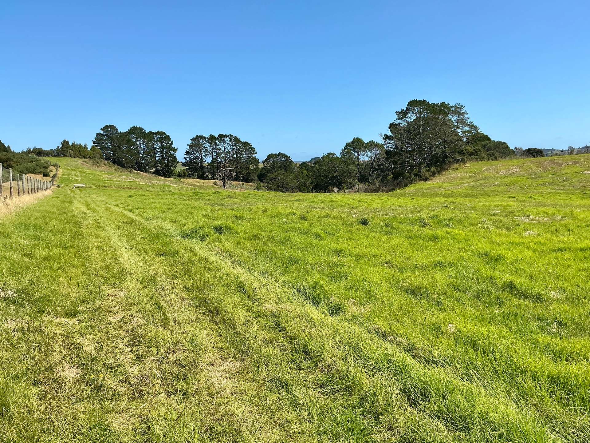 132B Gatfield Road photo 20