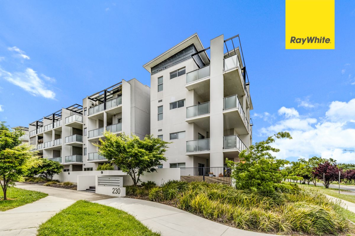 113/230 Flemington Road, Harrison, ACT 2914