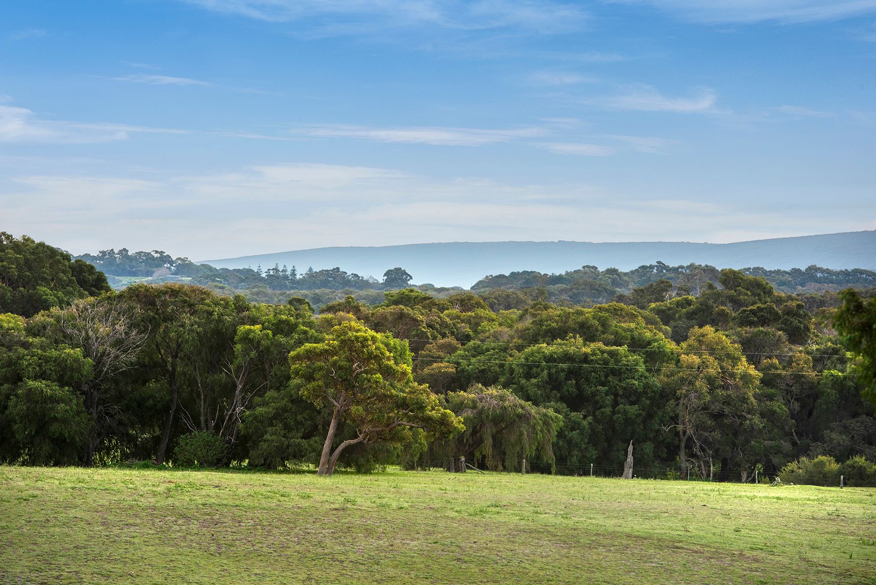 2894 Caves Road, Yallingup, WA 6282