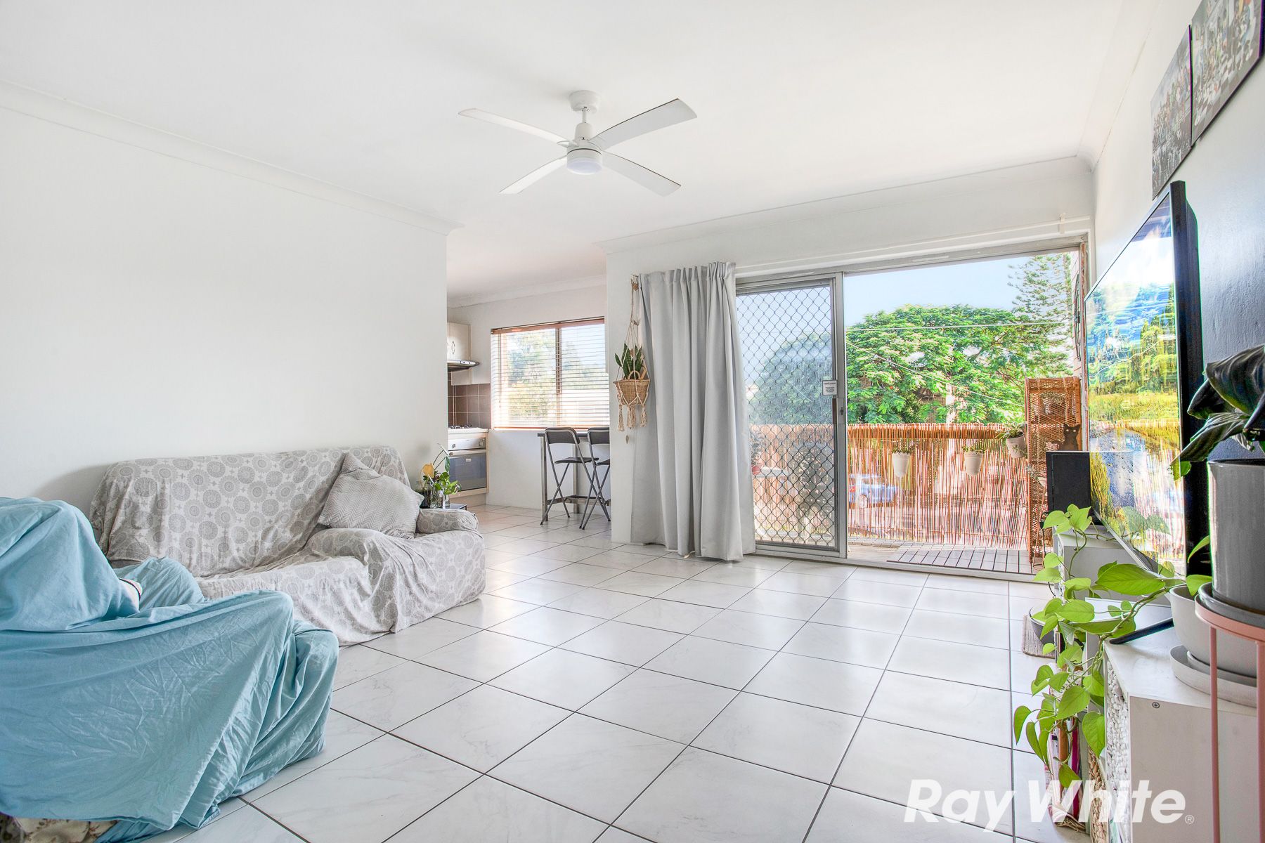 86 Junction Road, Clayfield QLD 4011
