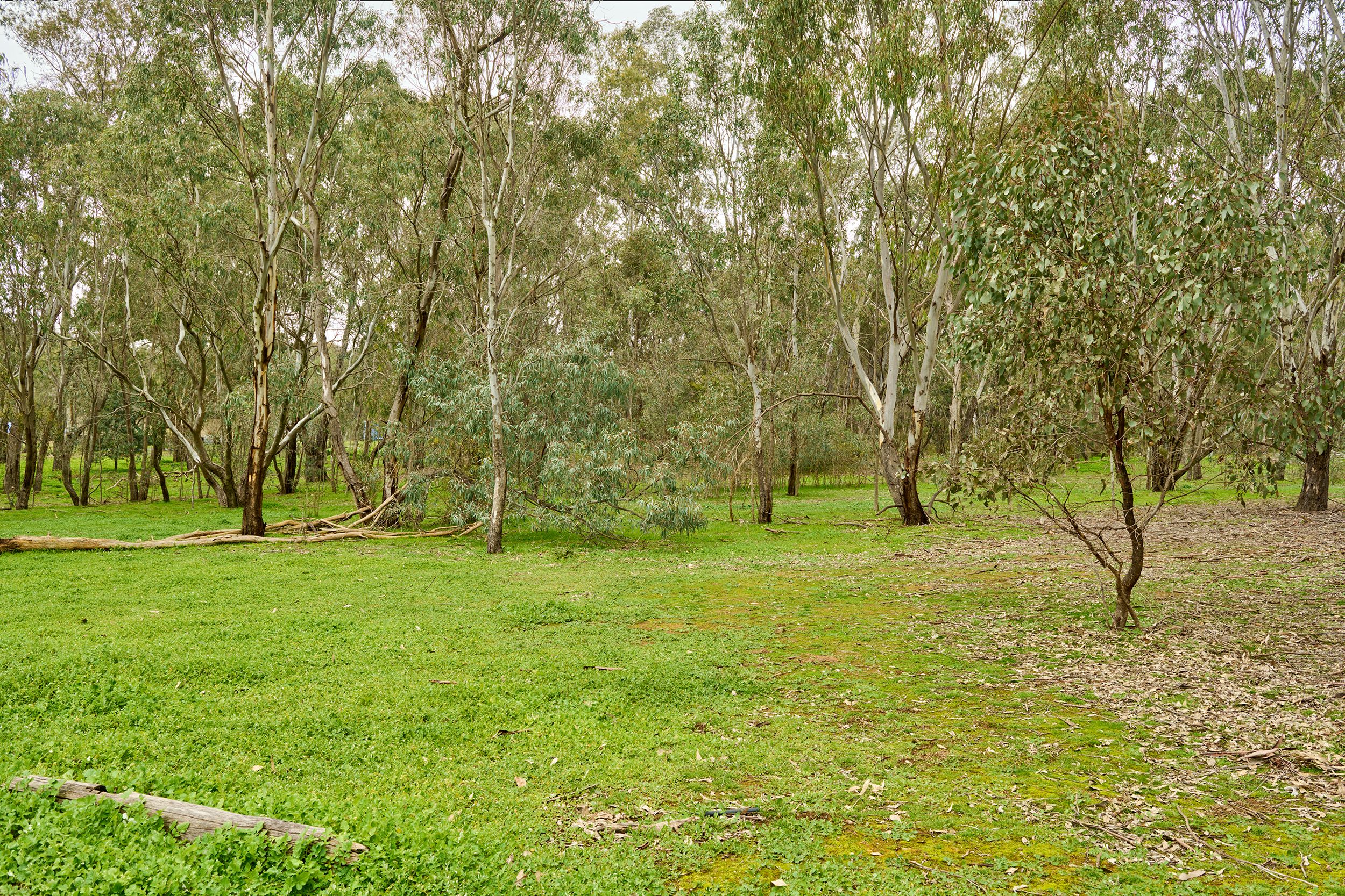 215 Hirds Road — photo 3 of 13