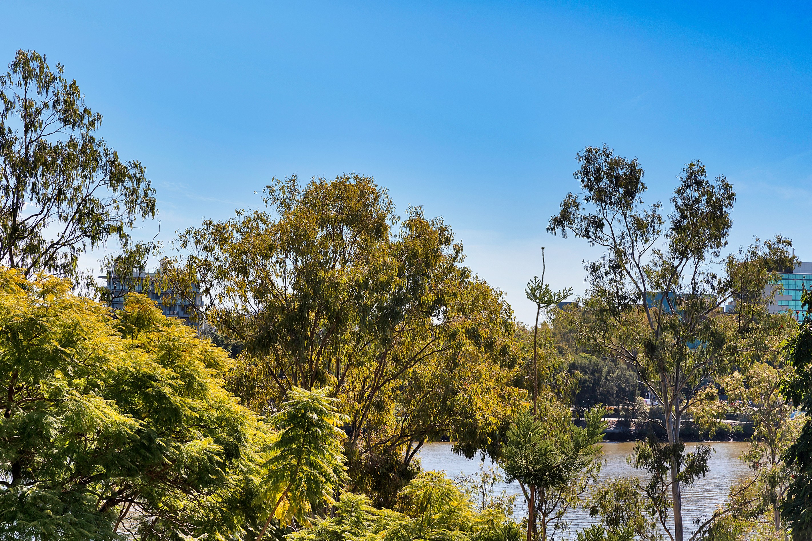 301/25 Duncan Street, West End, QLD 4101