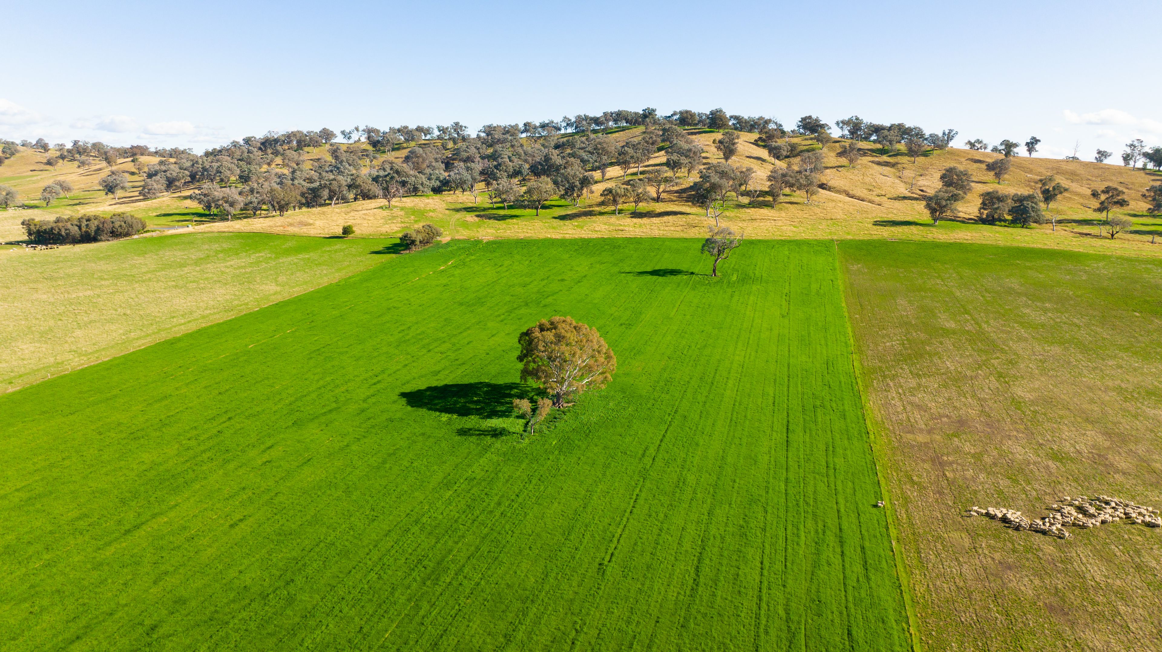 Part Granite Hill, Jindera, NSW 2642 Rural Property for Sale Rural