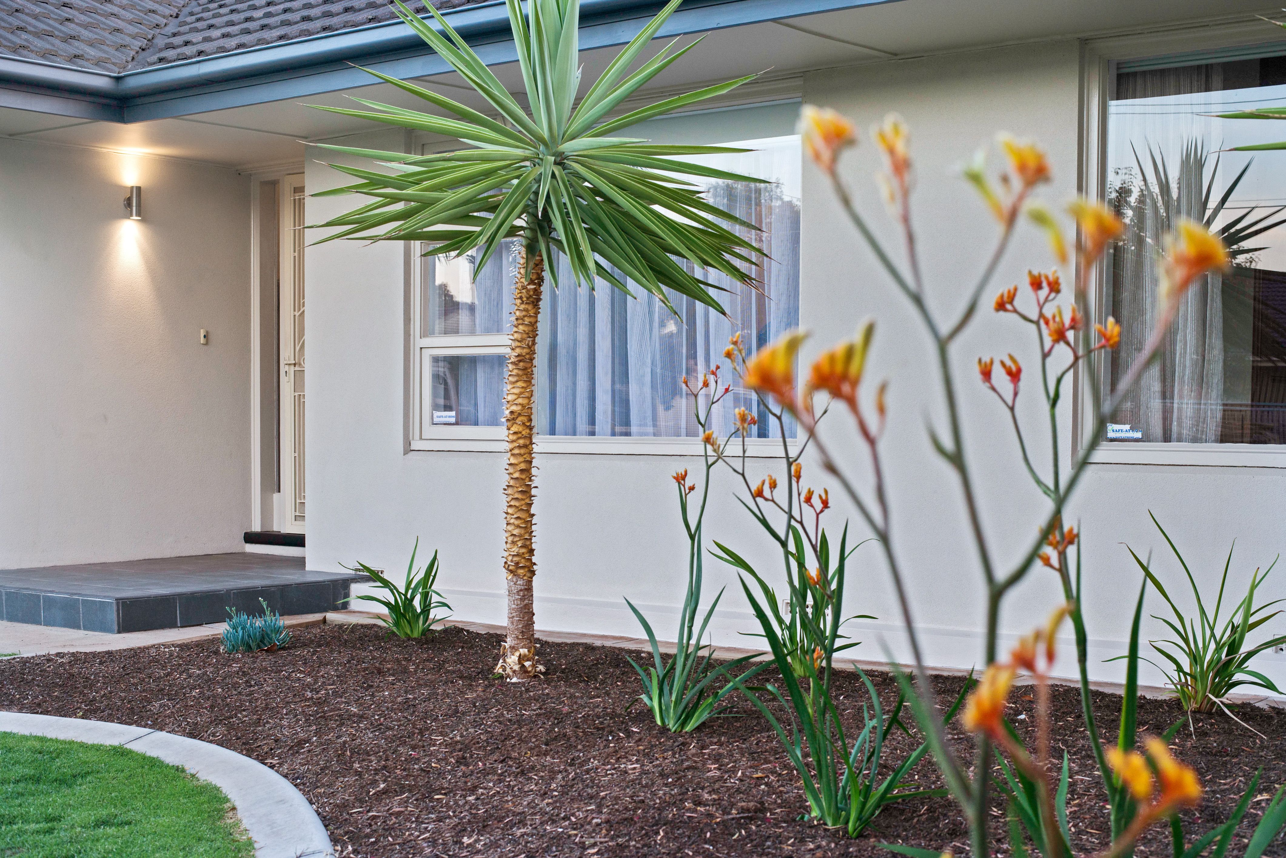4 Allendale Avenue, Novar Gardens, SA 5040