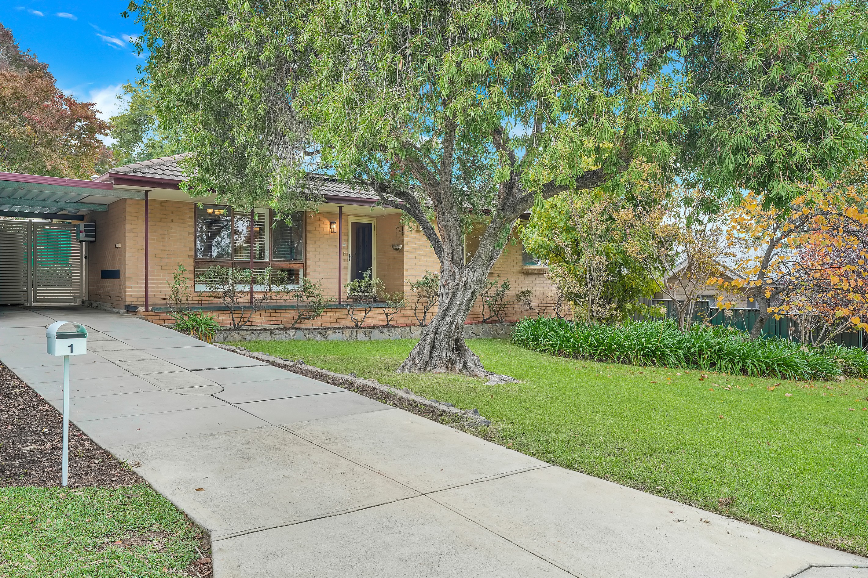 1 Colton Avenue, Highbury, SA 5089