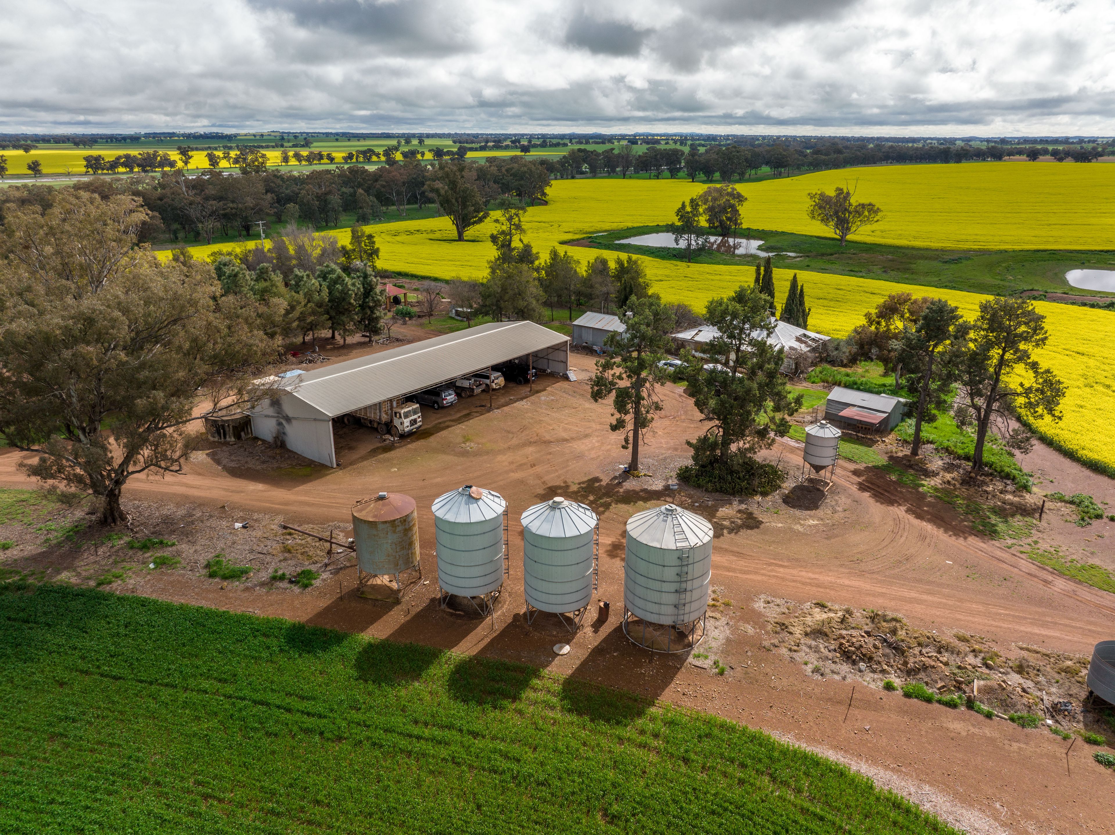 120 Clear Hills Road, Junee Reefs, NSW 2666 Sold Rural Cropping