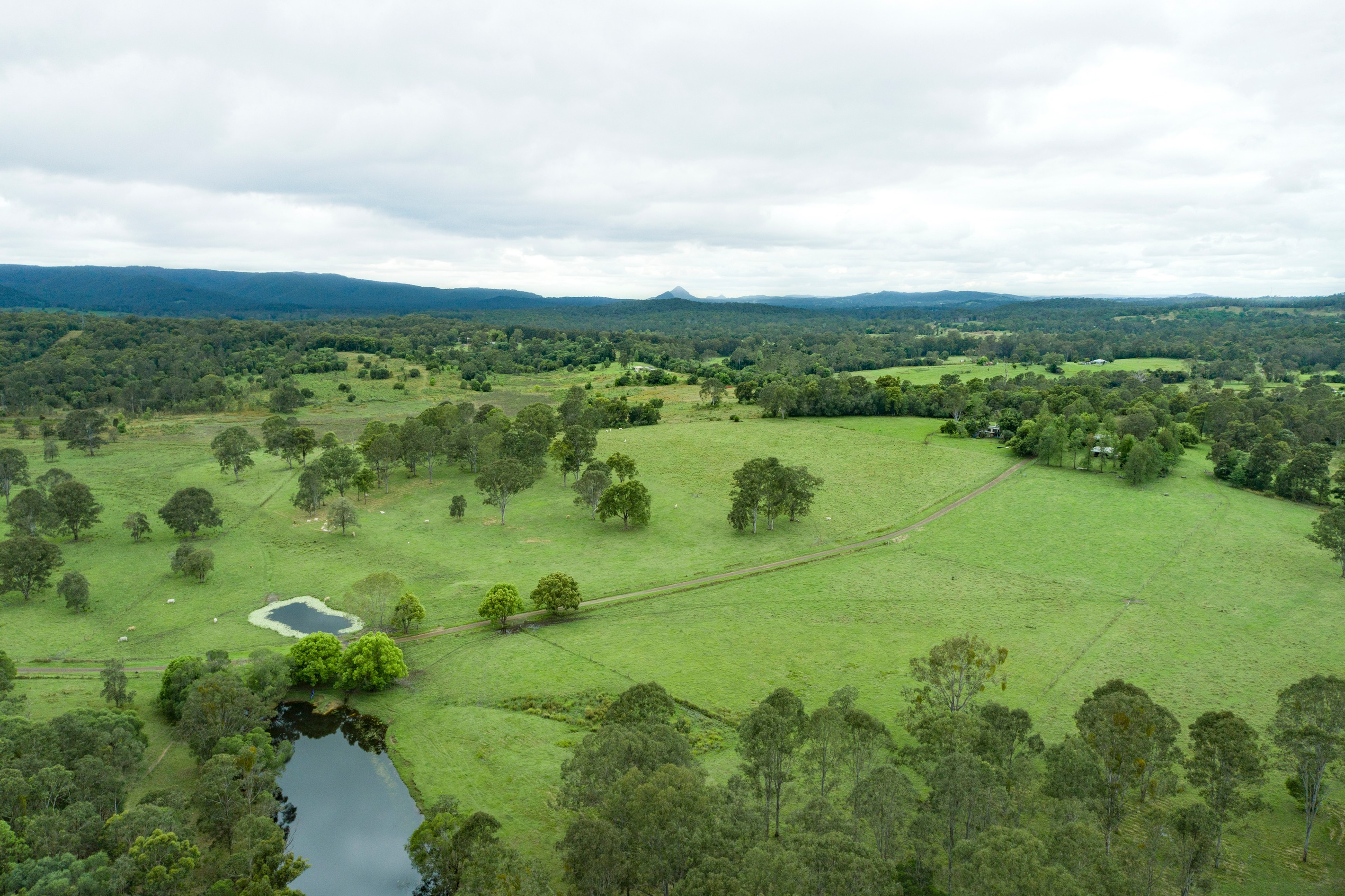 722 Noosa Road, Mothar Mountain, QLD 4570