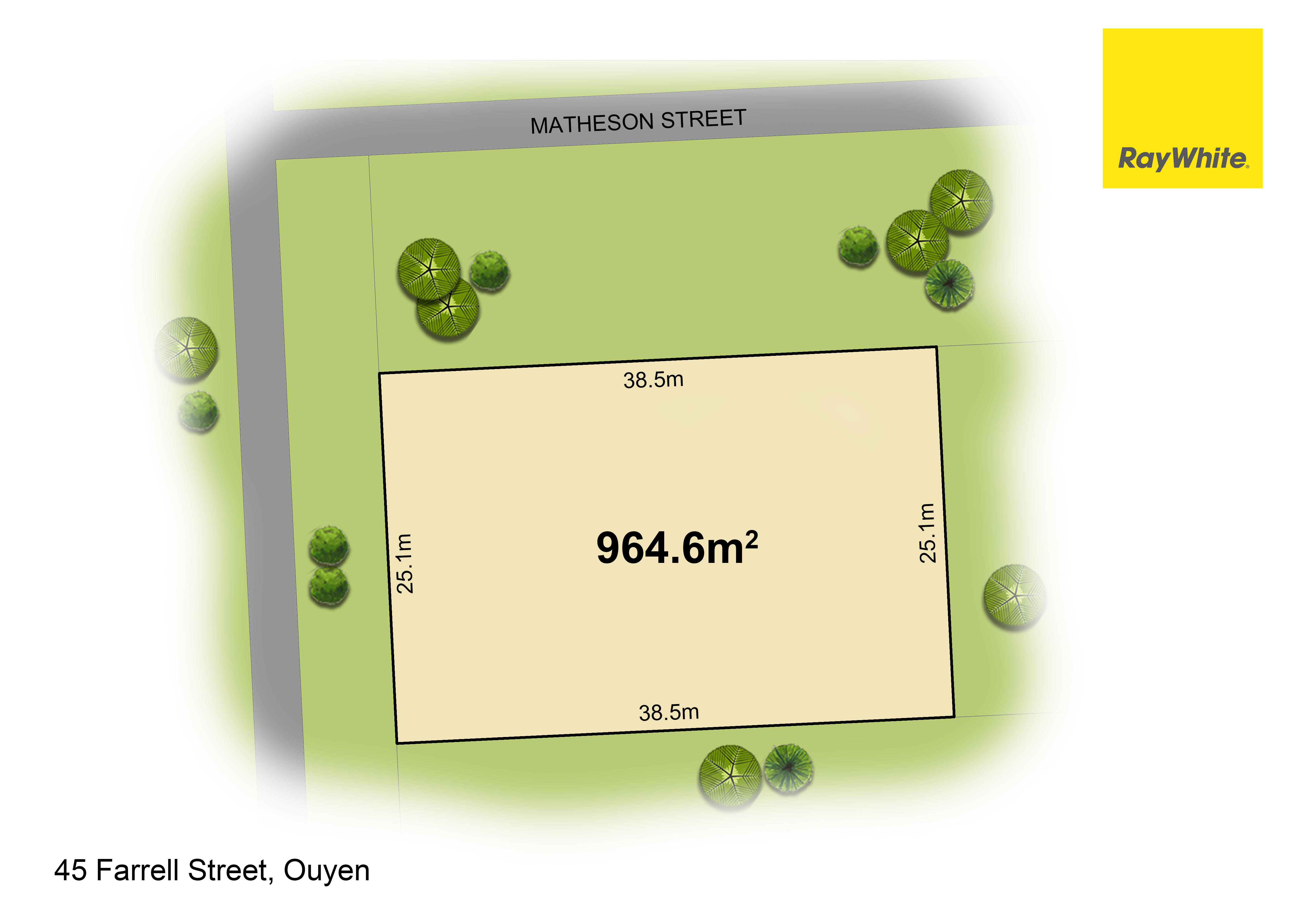 45 Farrell Street — photo from Ray White Mildura