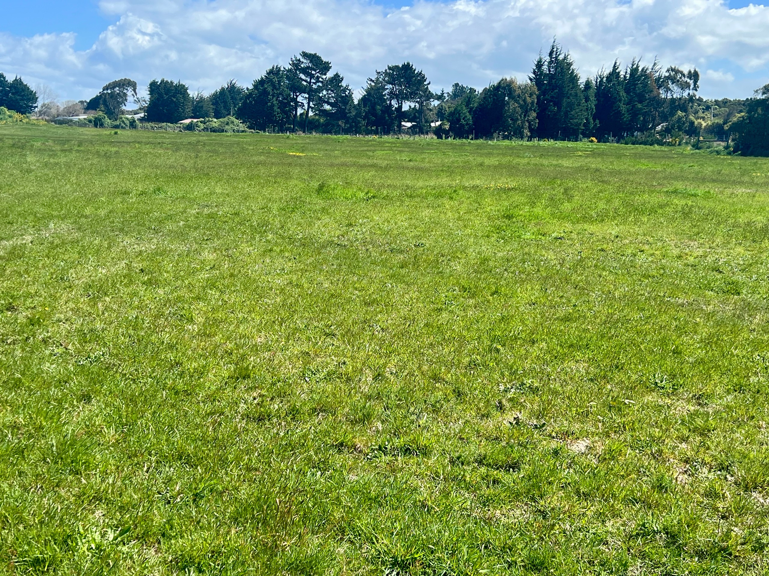 10 Amos Way, Otatara, Invercargill