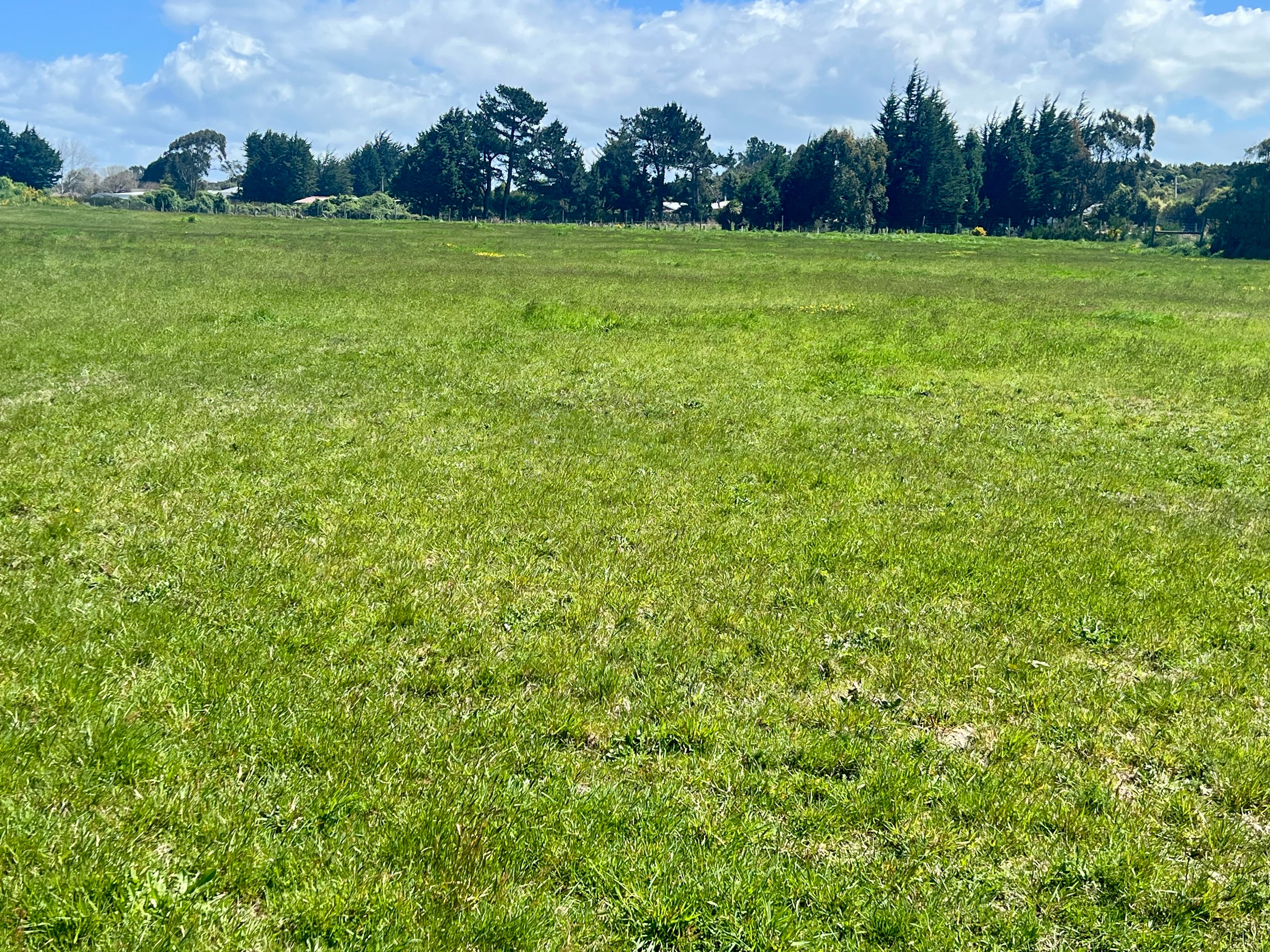 10 Amos Way, Otatara, Invercargill