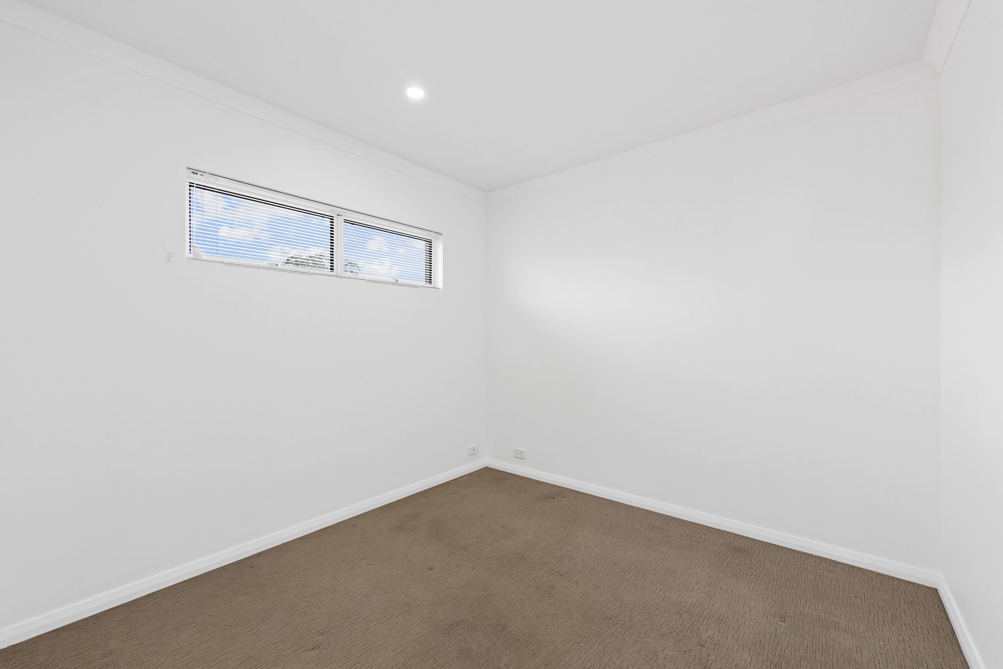 3/135 Briggs Street — photo 11 of 21