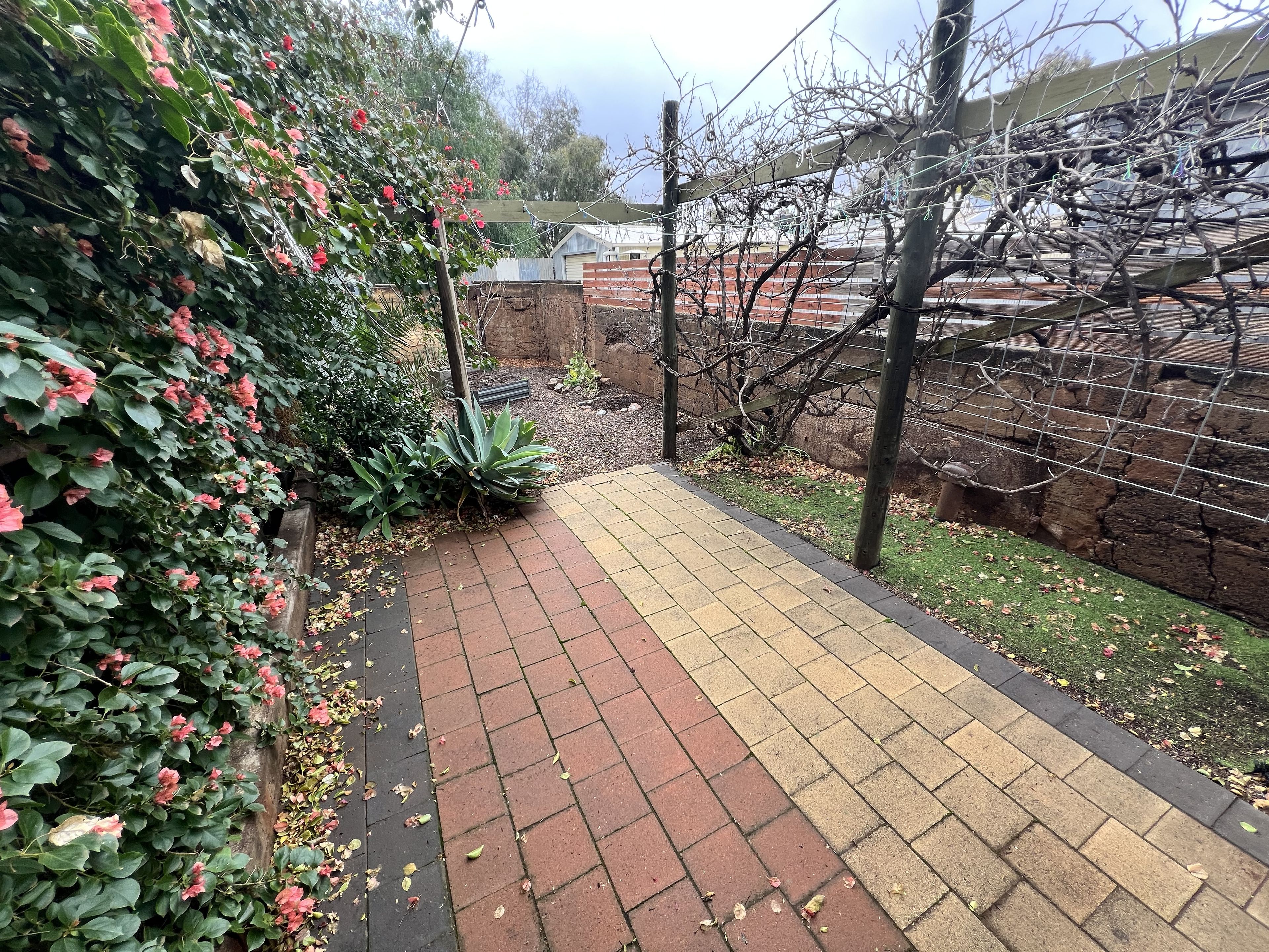 234 Brazil Street — photo 15 of 18