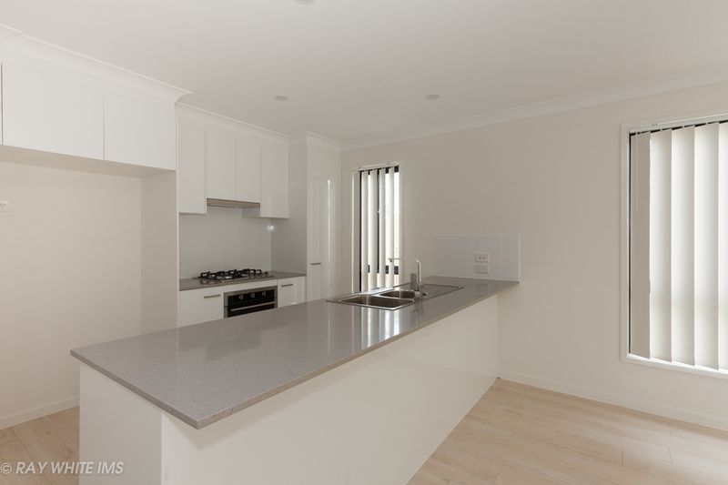 19 Hill Drive, Pimpama, QLD 4209