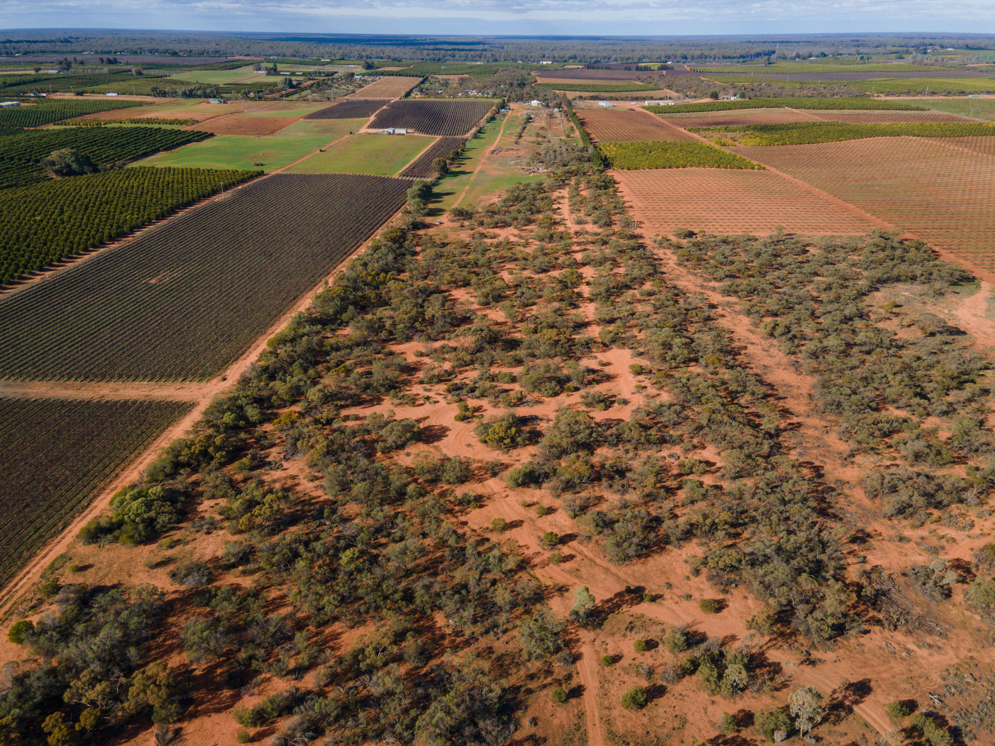 410 Sculthorpe Road, Nangiloc, VIC 3494