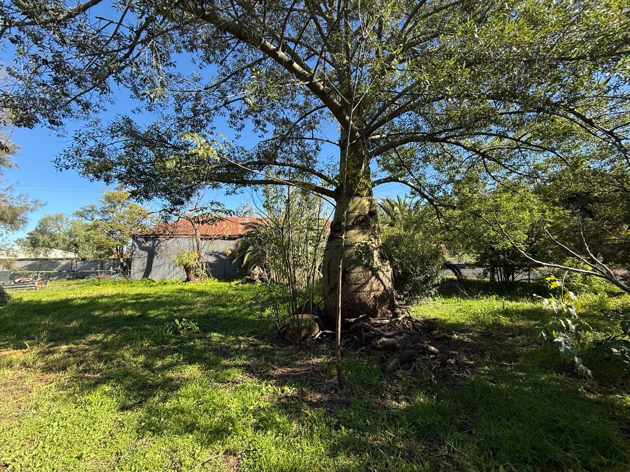 21-23 Dugga Street — photo 11 of 18