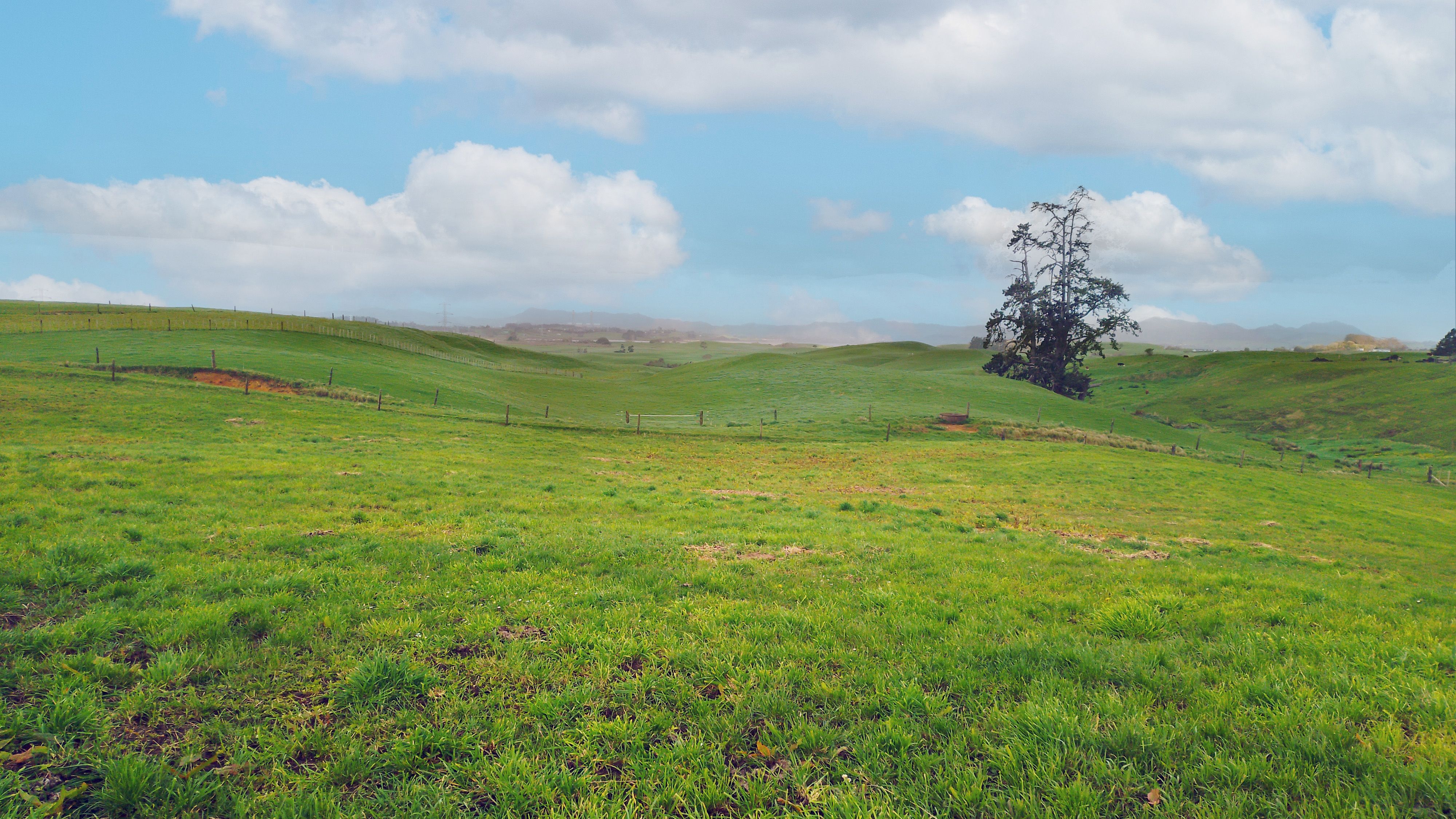 676 Waikokowai Road, Rotongaro, Waikato District