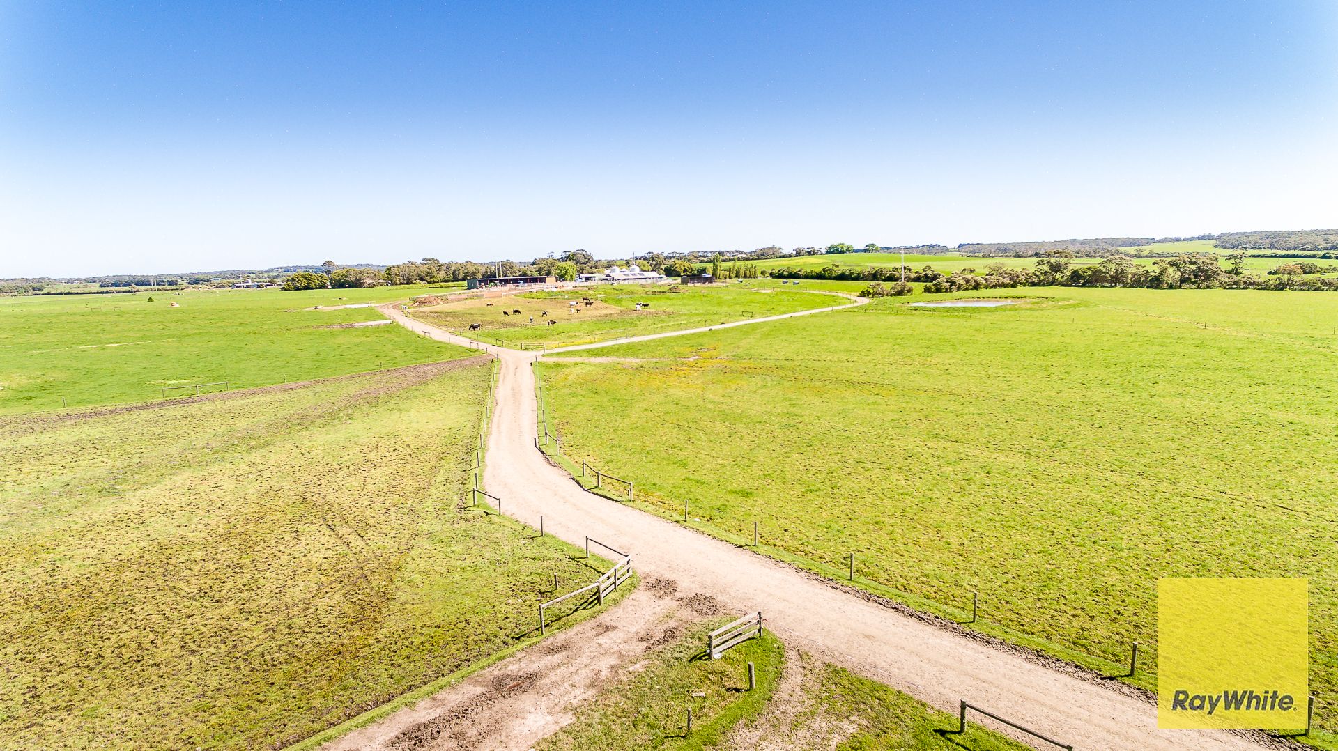 Outstanding Dairy Opportunity — photo 12 of 30