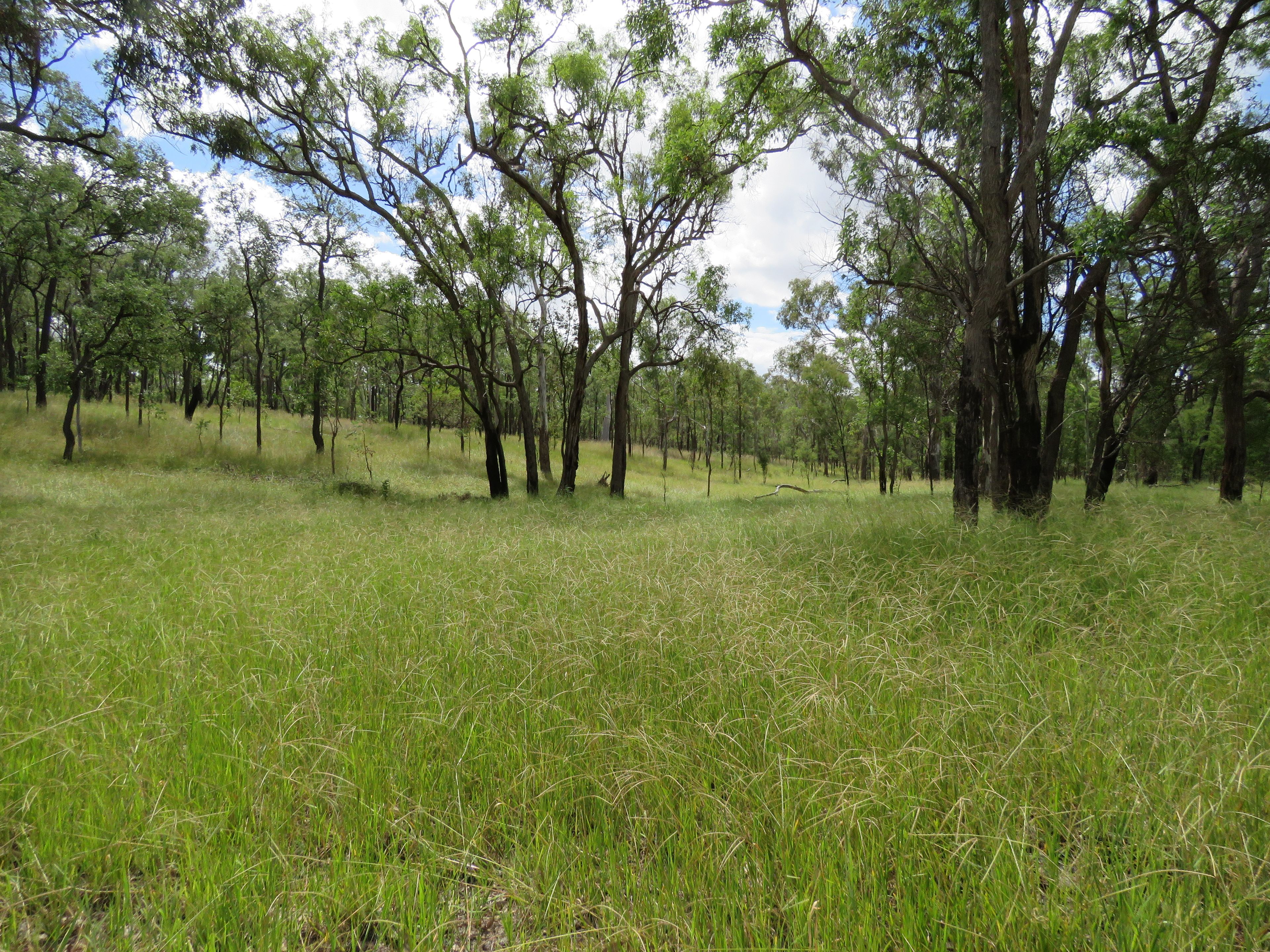 450 Lawsons Broad Road, Coverty, Wondai, QLD 4606 Rural Property for