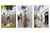 5/1 Salt Avenue photo 25