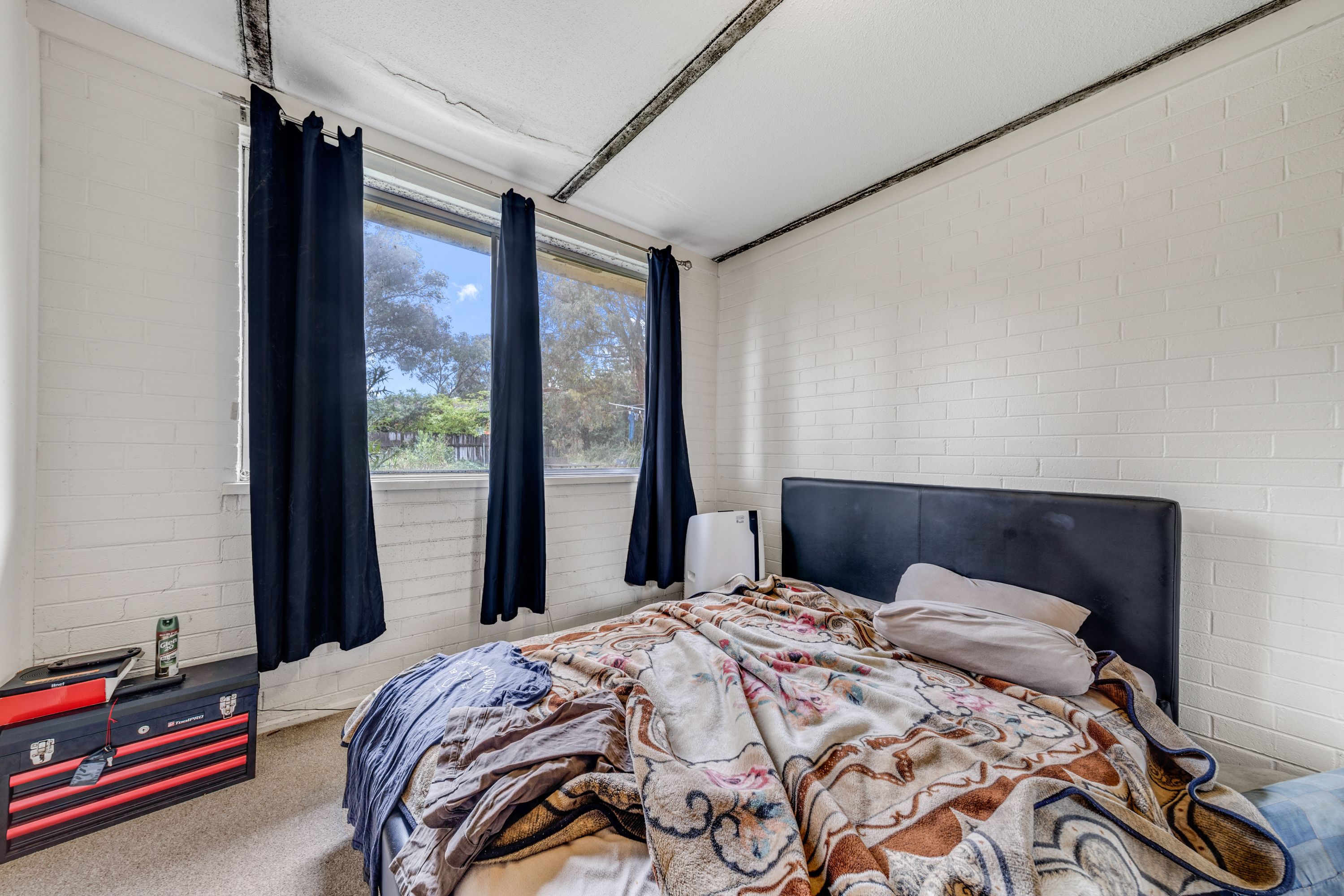 64 Pennefather Street, Higgins, ACT 2615